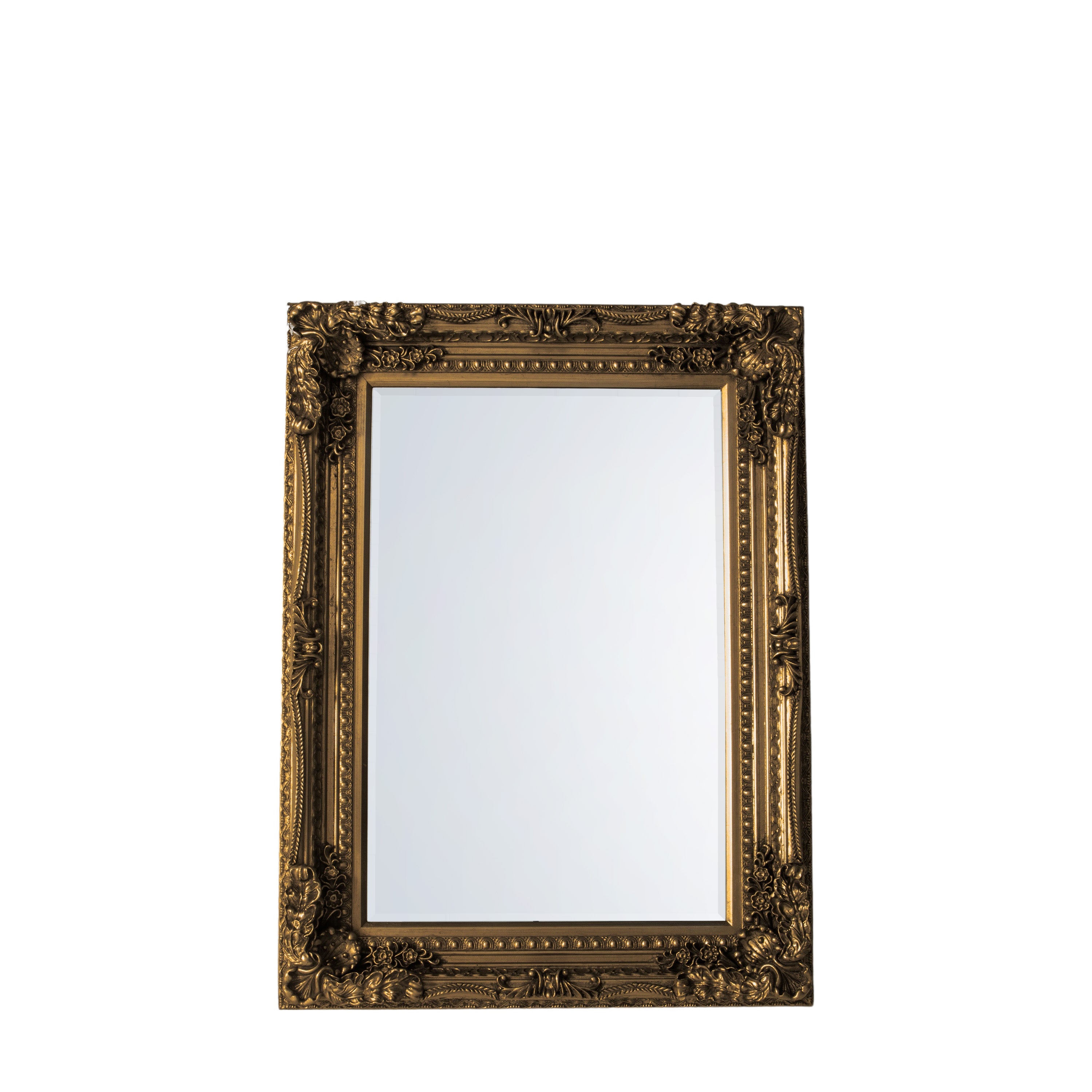 Carved Louis Mirror Gold - Glass / Resin / Wood | Migo Interiors