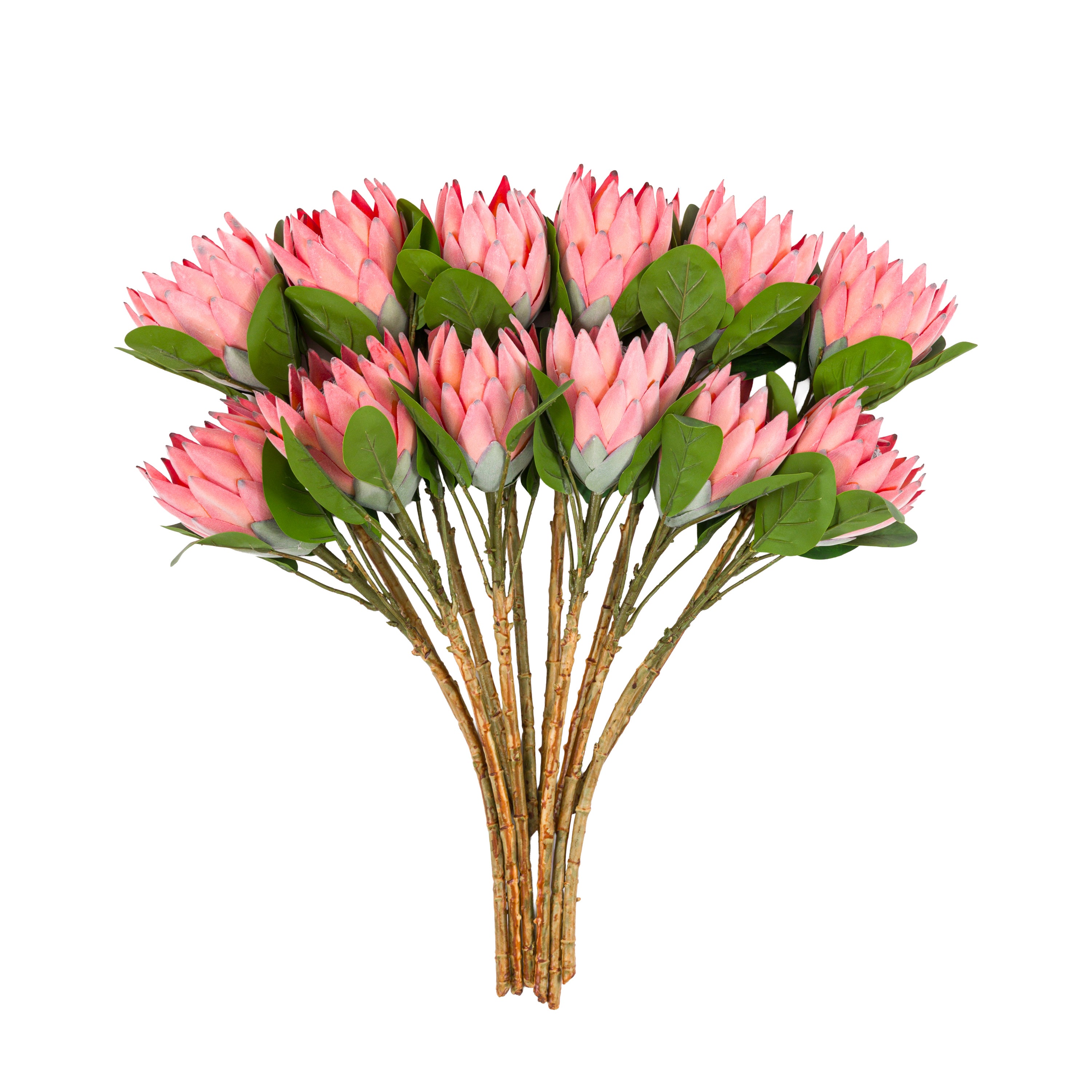 Faux Stem Statement Tropical Apricot (12pk)