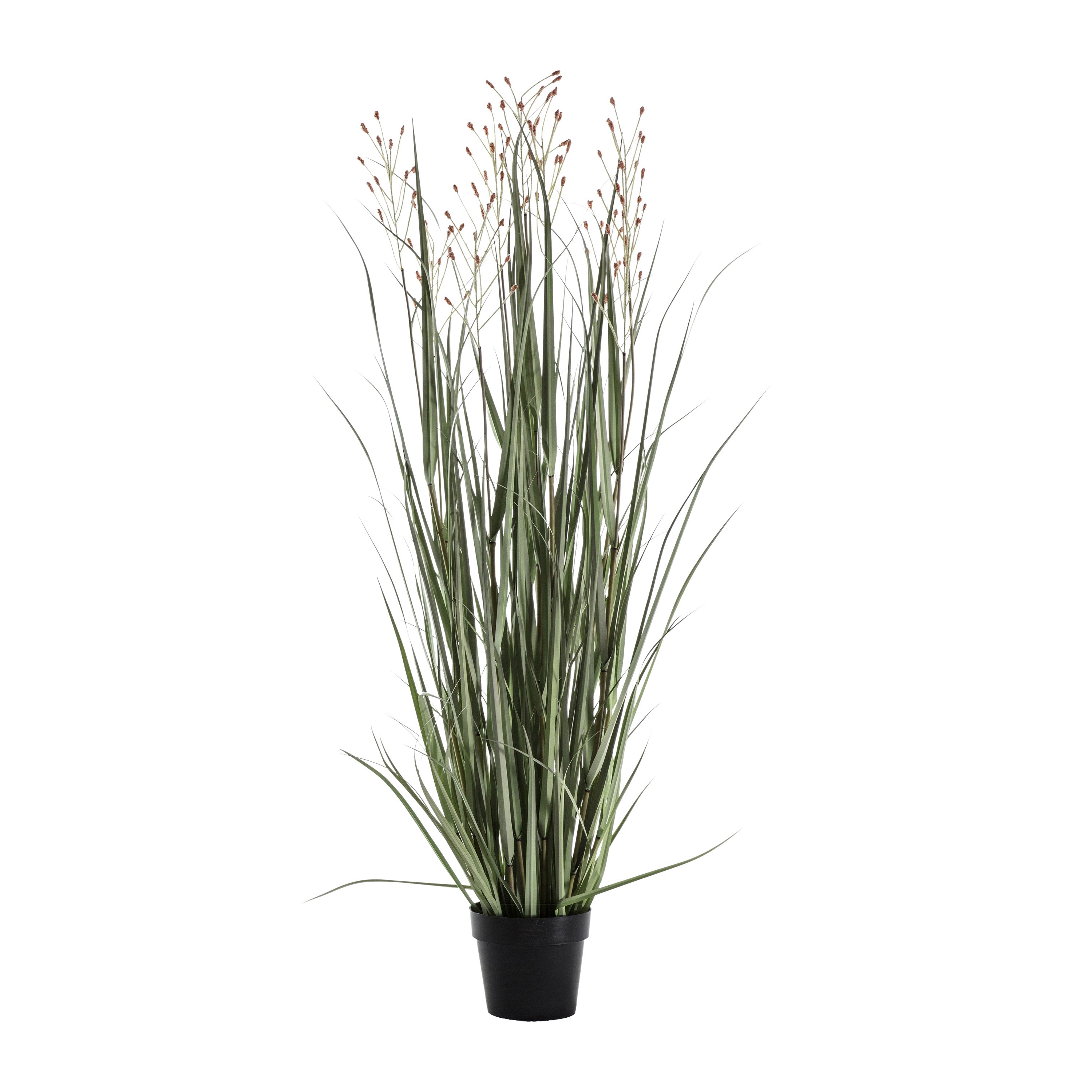 Potted Grass w/9 Heads Green/Russet - PVC / PE / Cement / Foam / Iron | Migo Interiors
