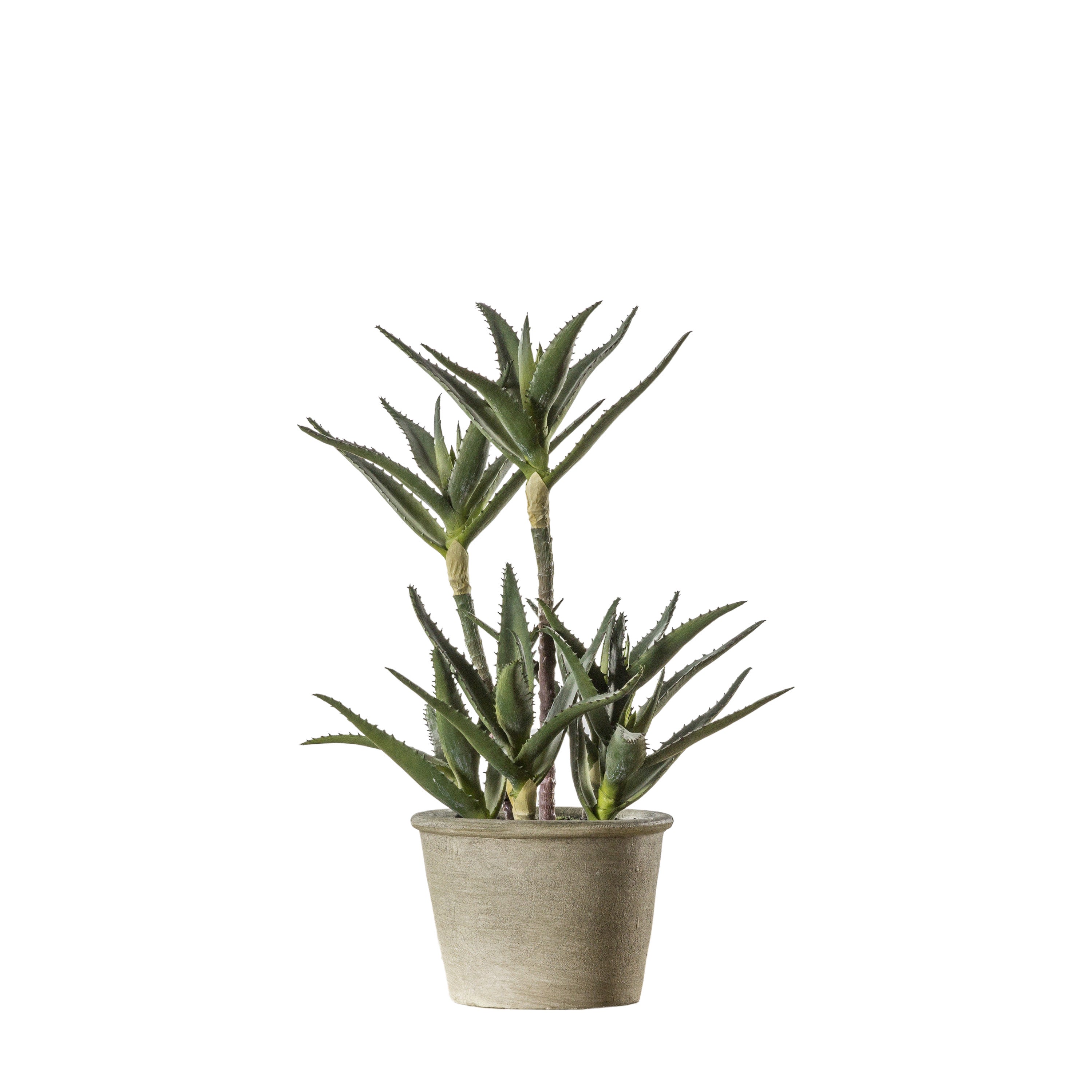Potted Aloe - Rubber / Paper / Iron | Migo Interiors