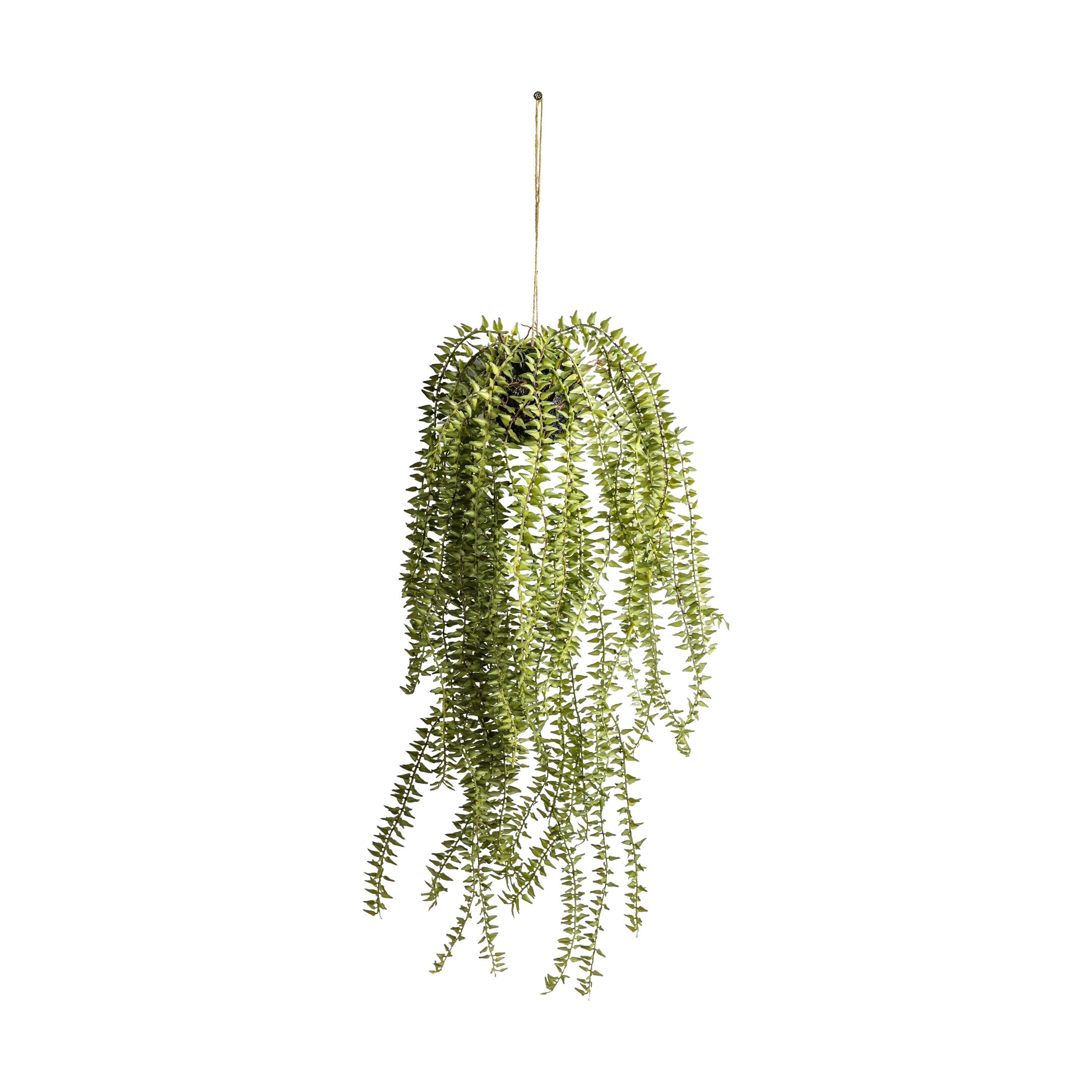Hanging Cactus Horsetail - PE / Iron | Migo Interiors