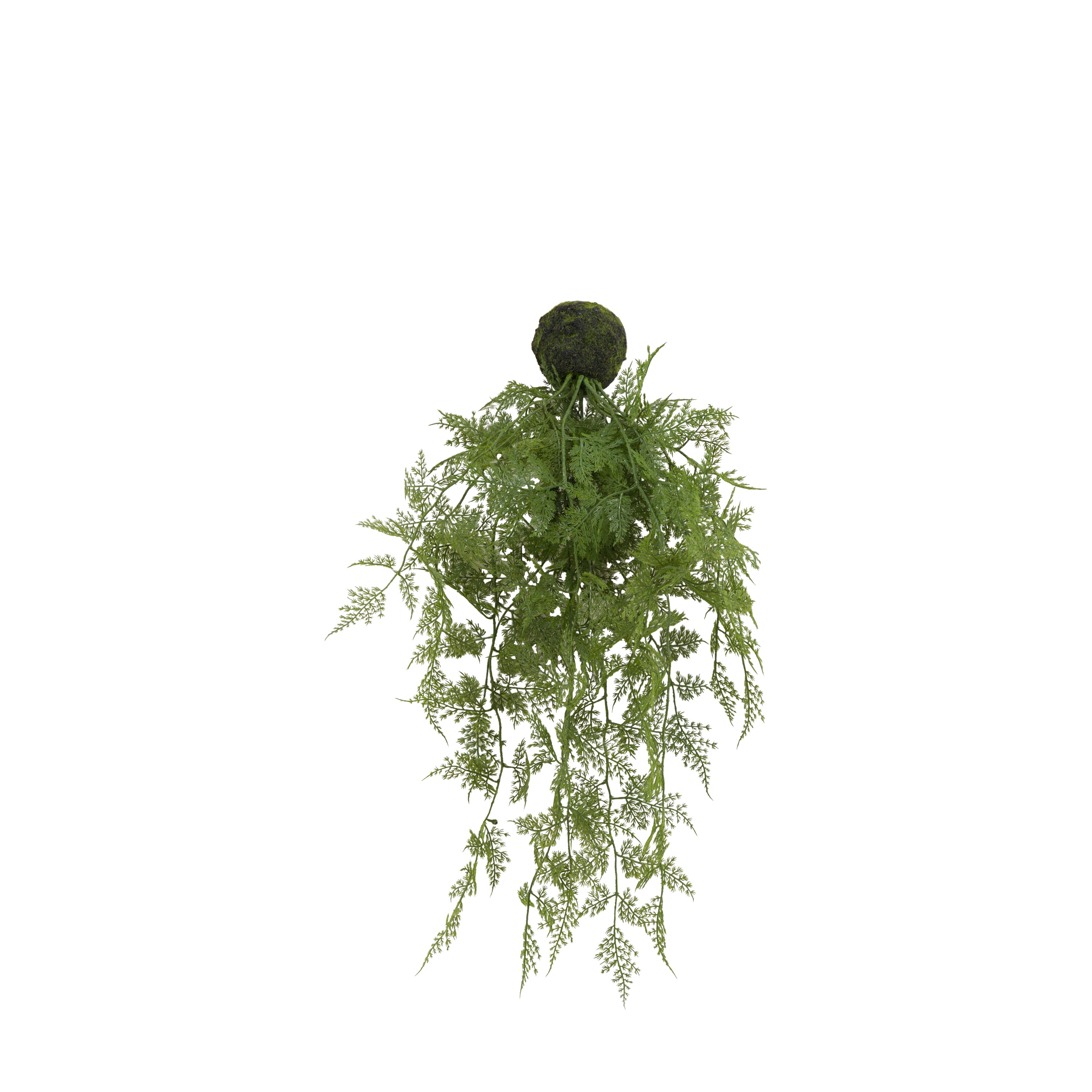 Trailing Wood Fern in Soil Green L610mm - PE / PVC | Migo Interiors