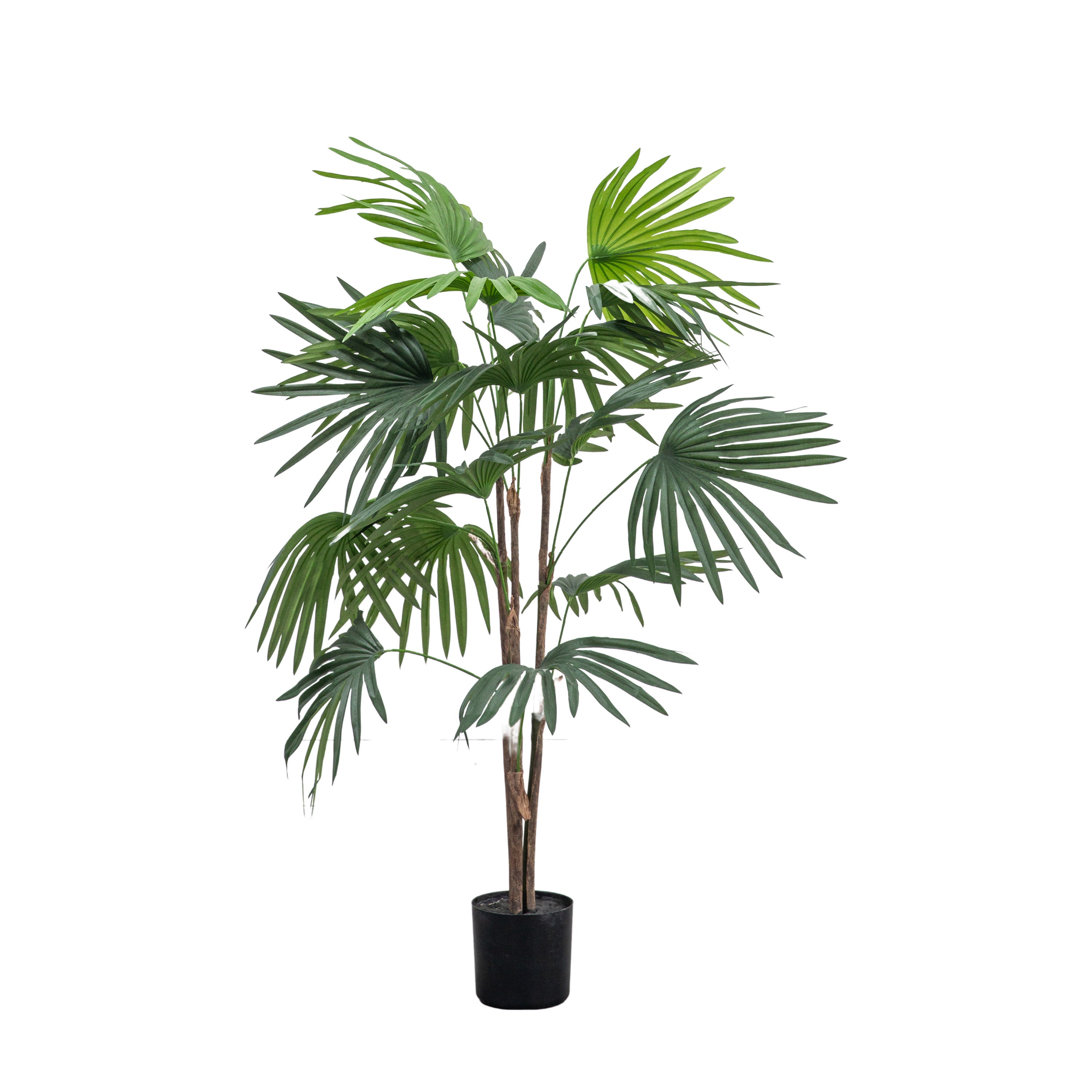 Chinese Fan Palm H1170mm - PEVA / PE / Iron / Wire / PVC | Migo Interiors
