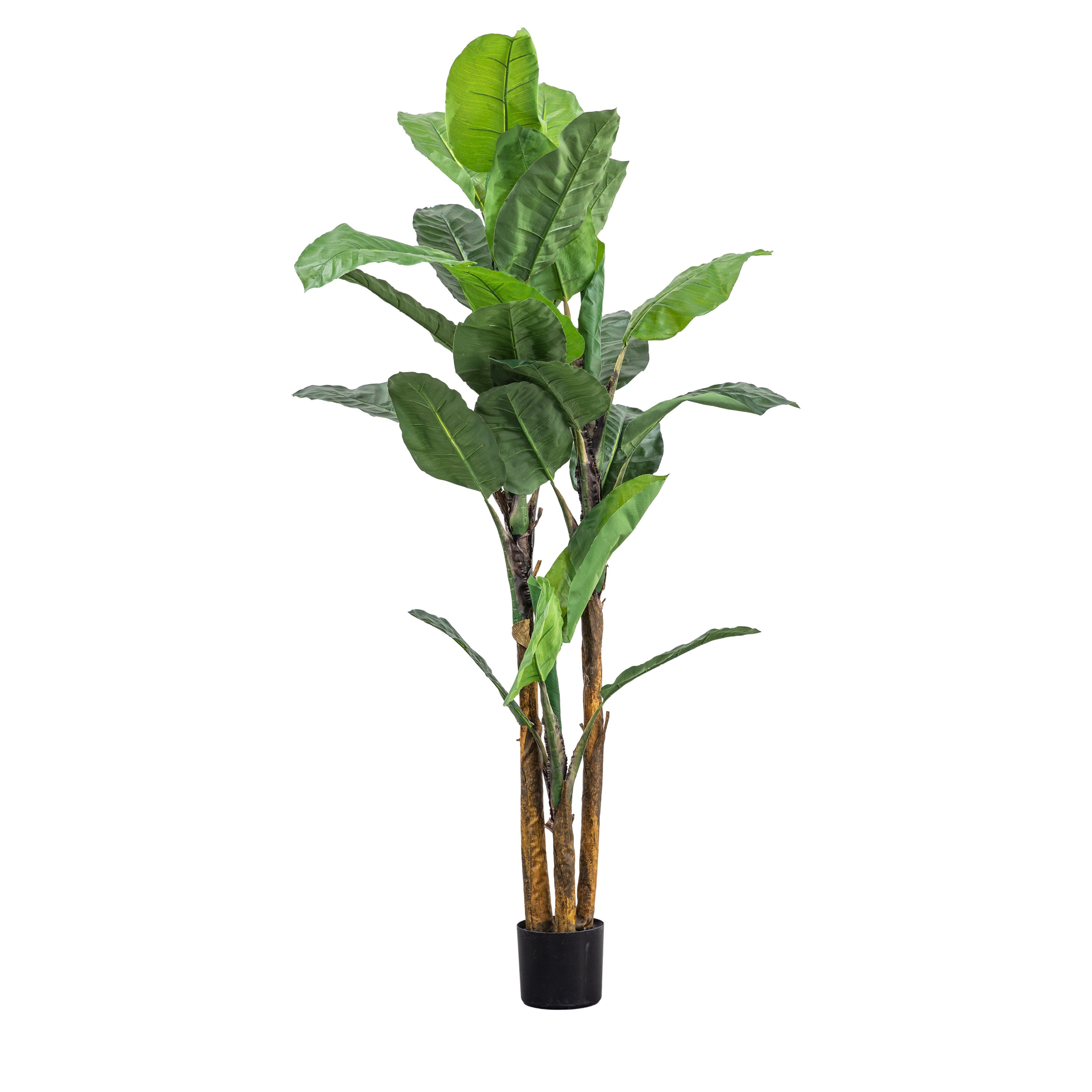 Banana Palm H2030mm - PEVA / PE / Iron / Wire / PVC | Migo Interiors