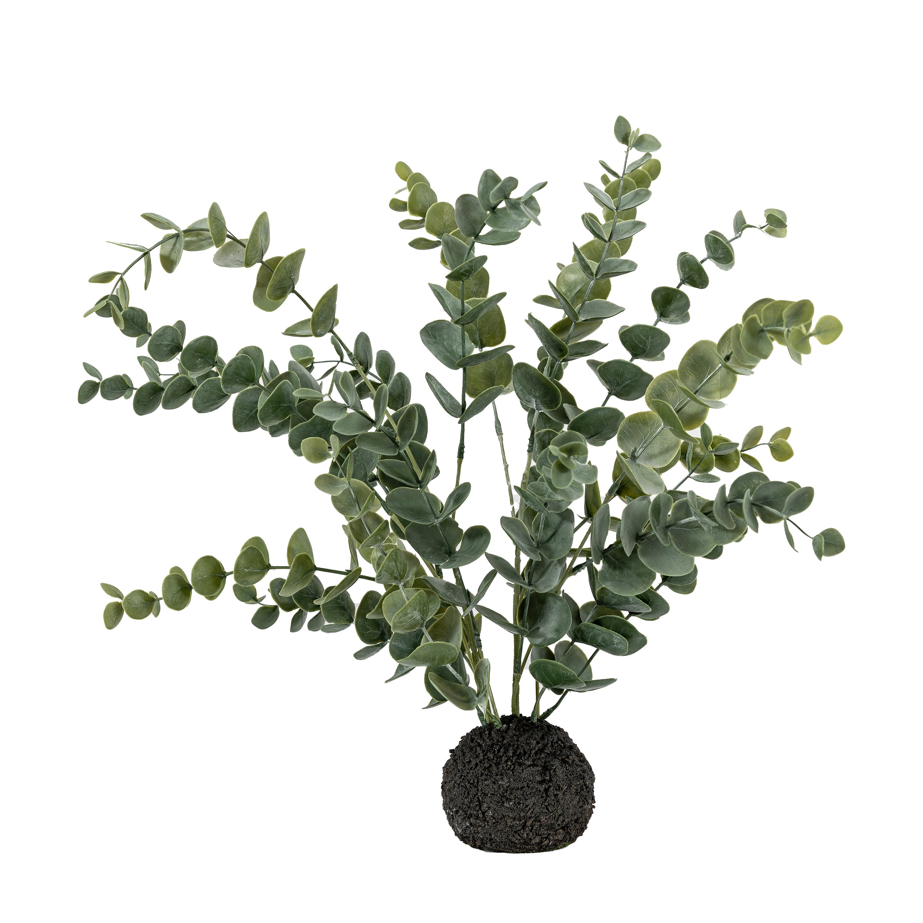 Eucalyptus in Soil Grey Green H510mm - PE / Iron Wire | Migo Interiors