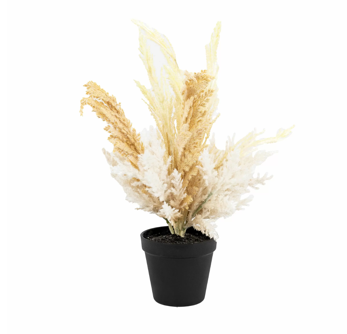 Abriella Potted Dry Grass
