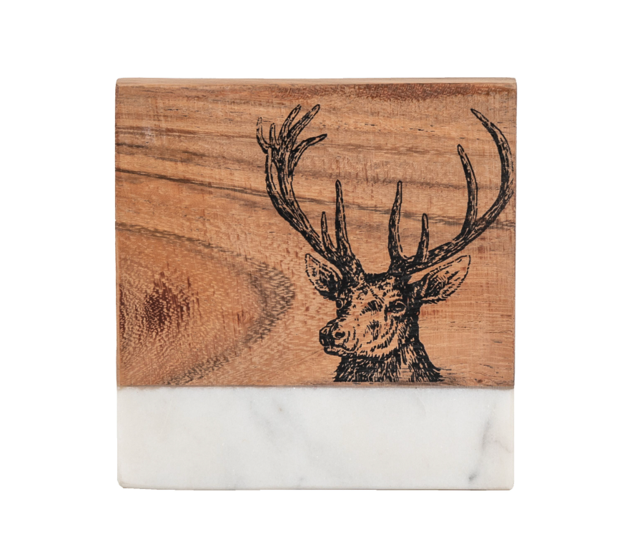 Clarinda Coaster (Set of 4)