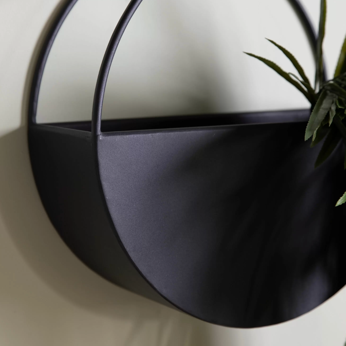 Selenia Wall Planter