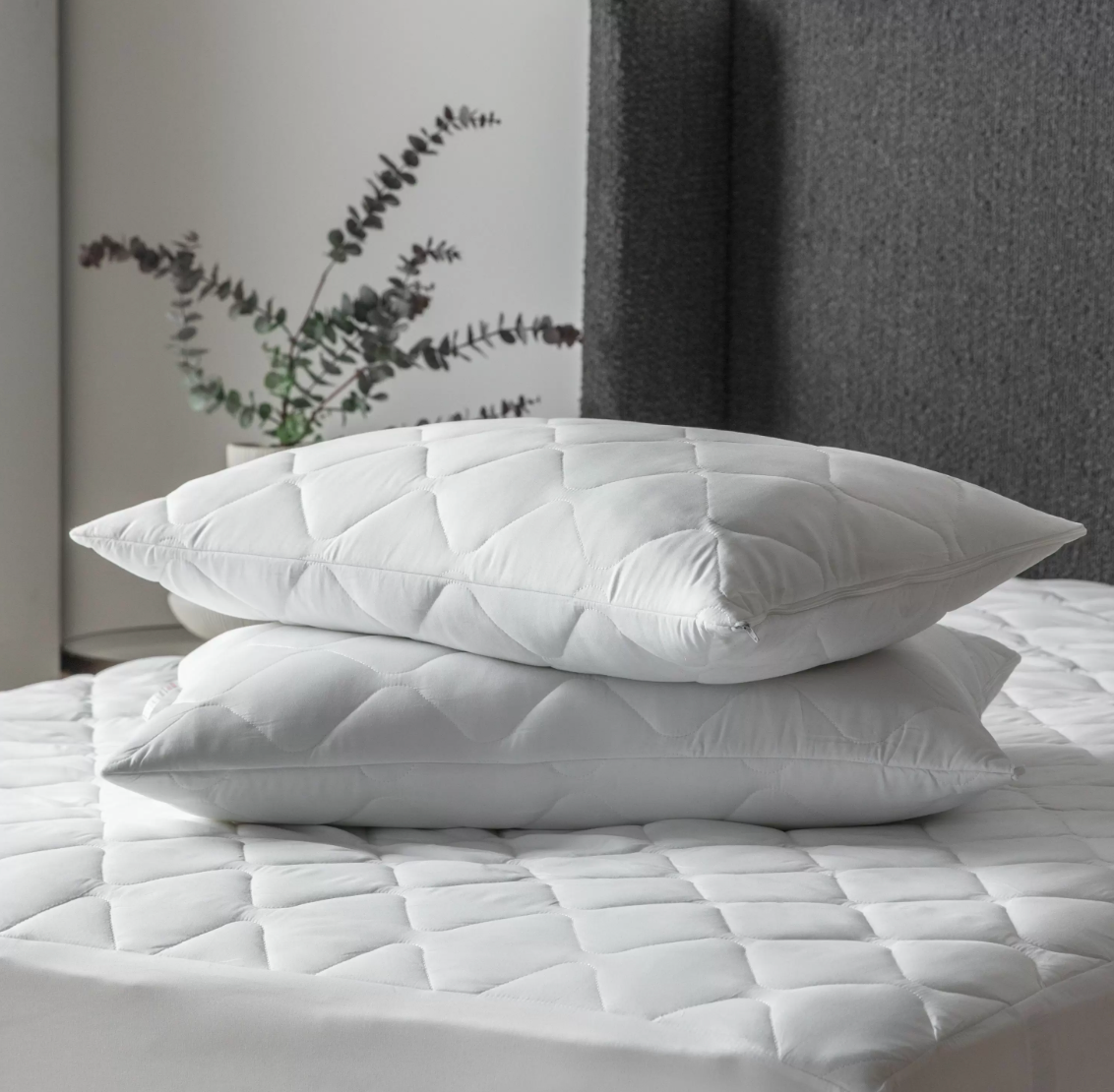 Annetta Allergy Pillow