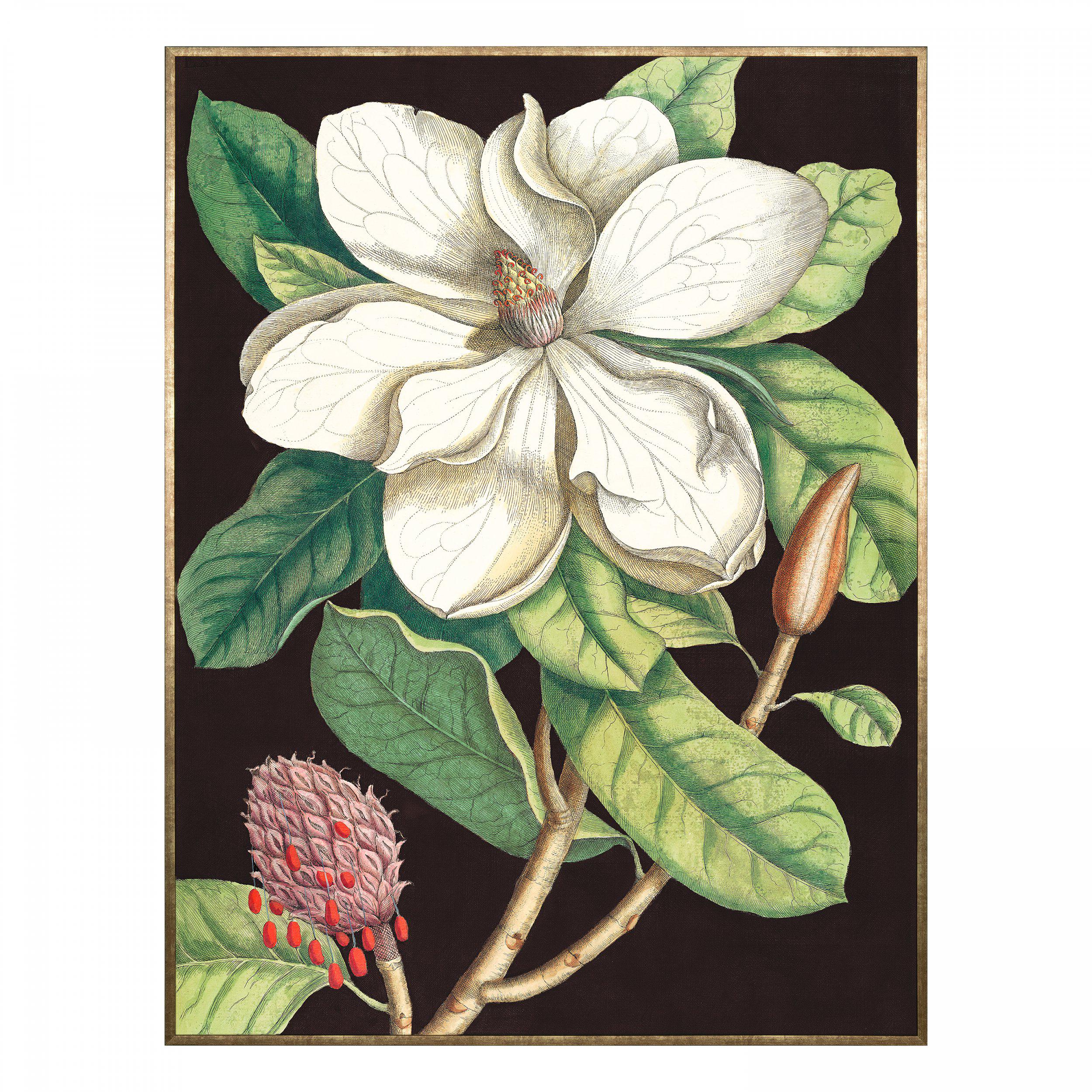 Laurel Tree Framed Canvas