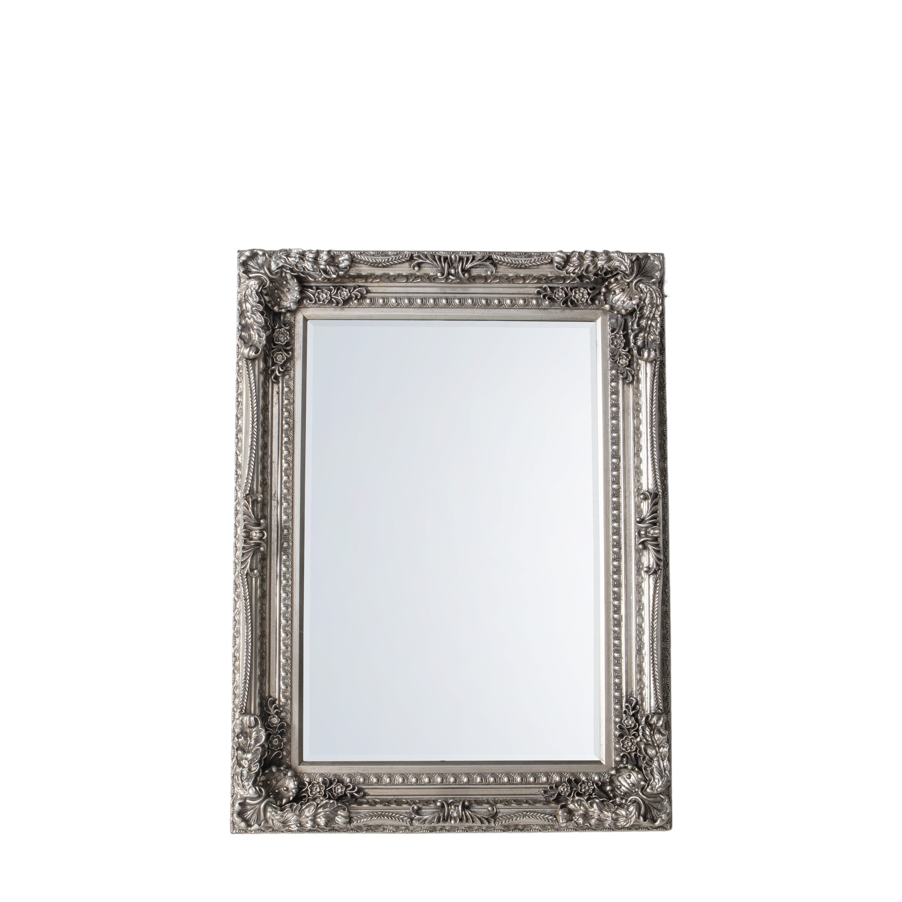 Carved Louis Mirror Silver - Glass / Resin / Wood | Migo Interiors