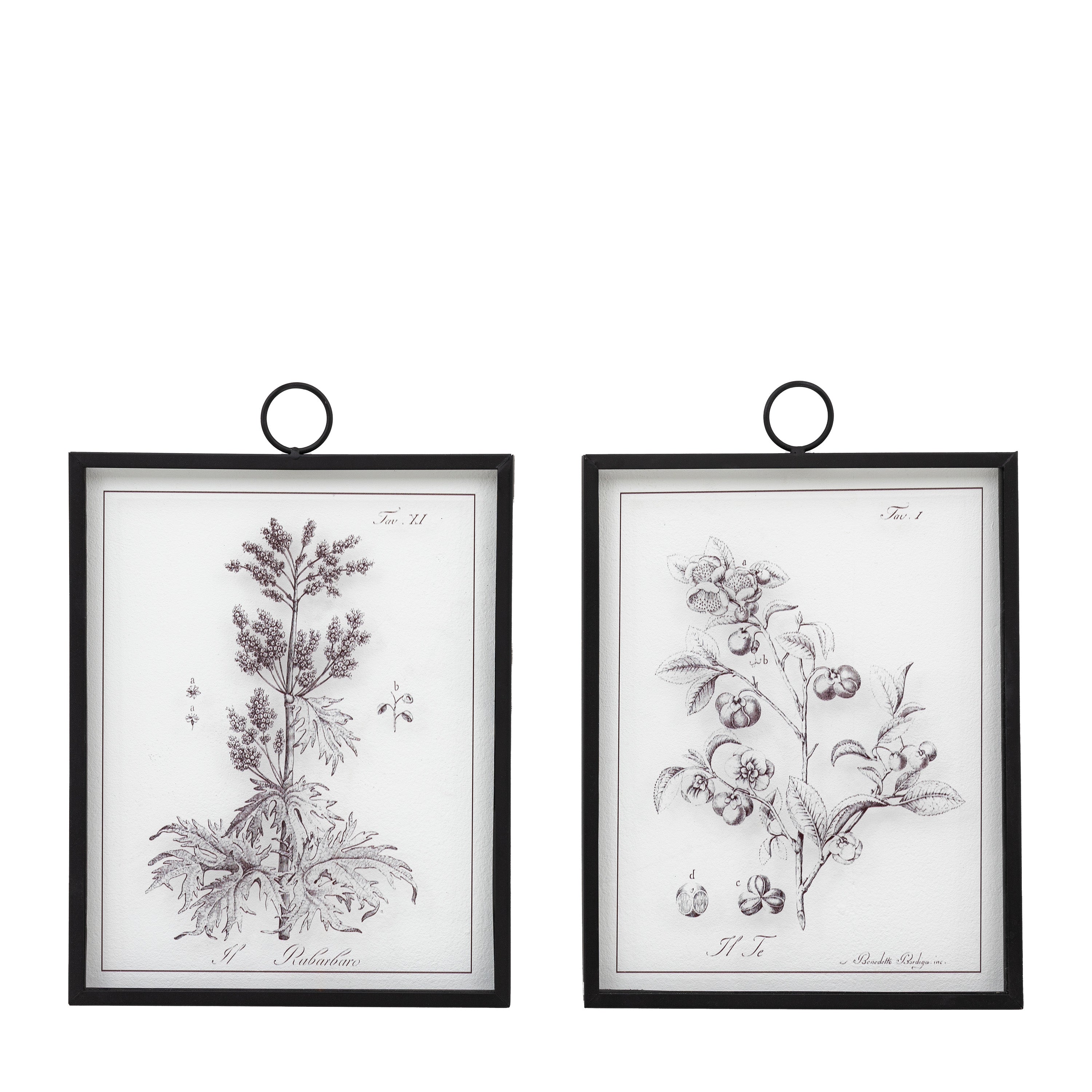 Petiole Framed Art Set of 2