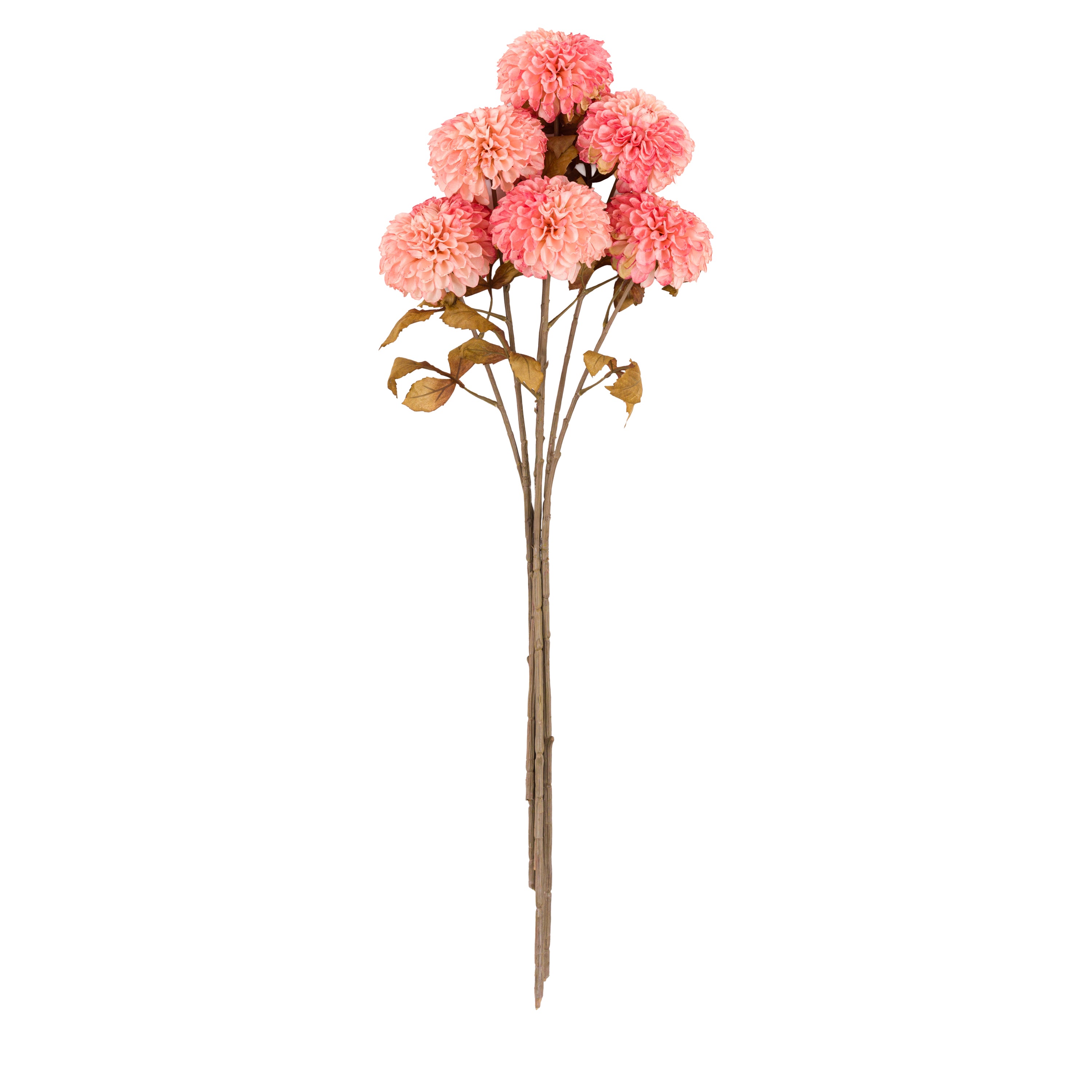 Faux Stem Dahlia Apricot (6pk)