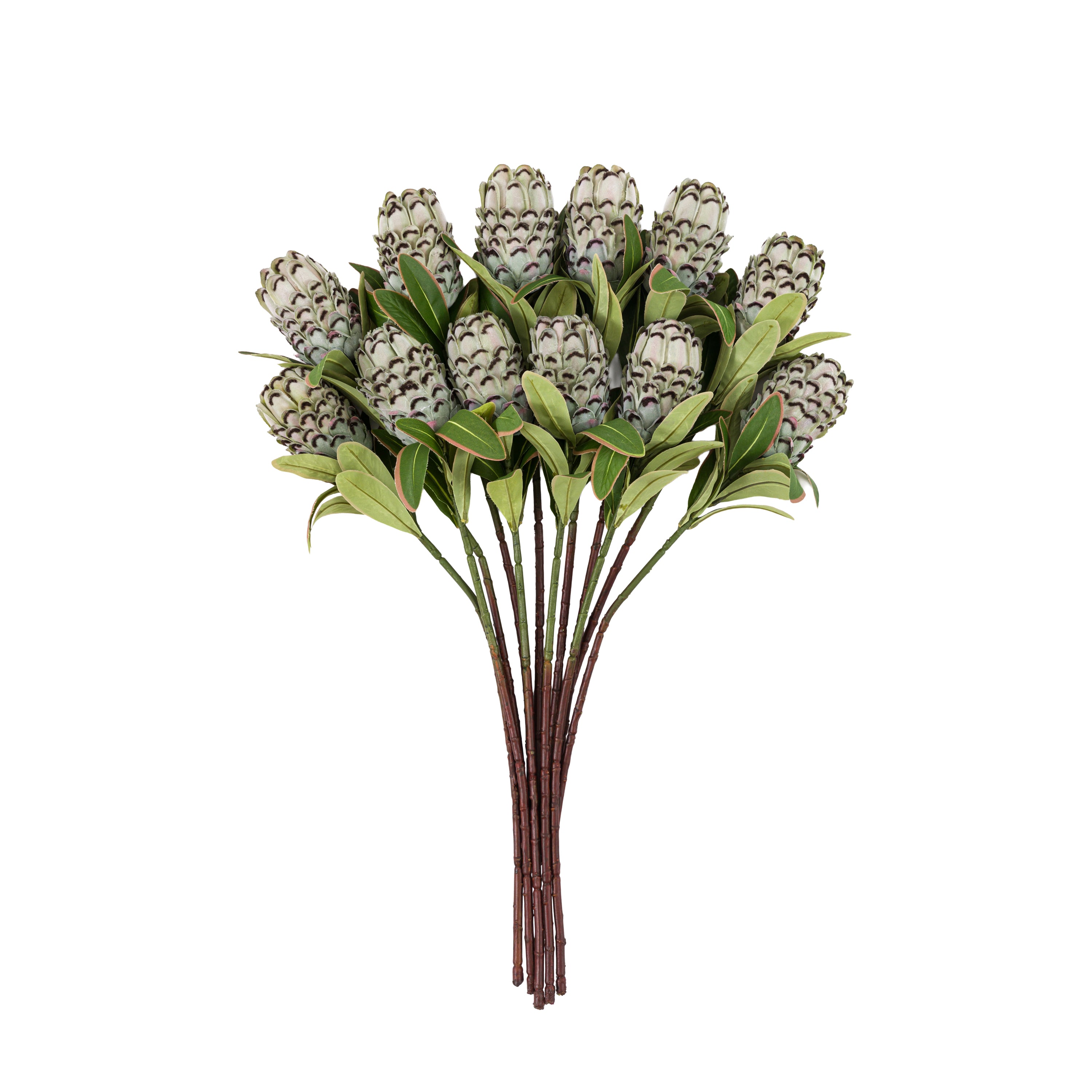 Faux Stem Statement Tropical Green (12pk)