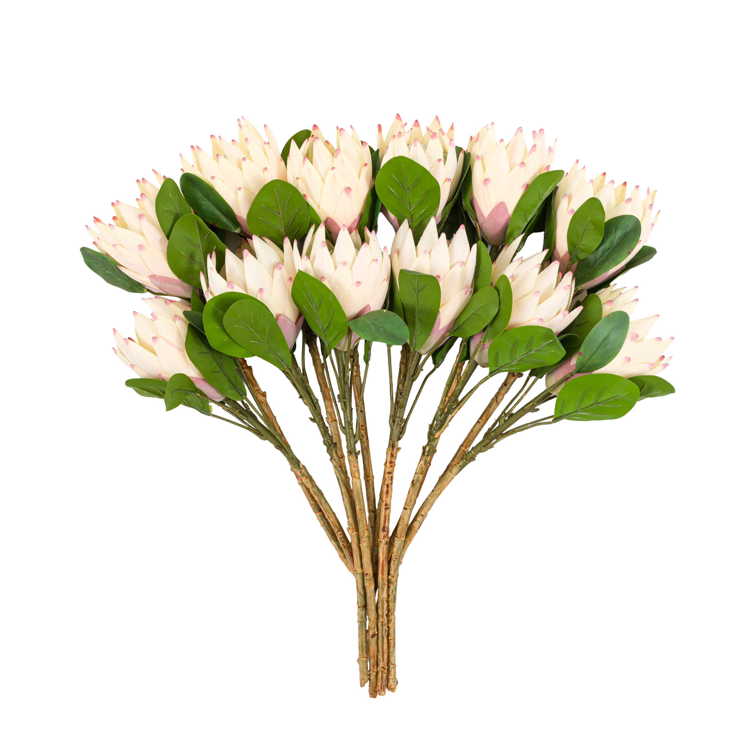 Faux Stem Statement Tropical Ivory (12pk)
