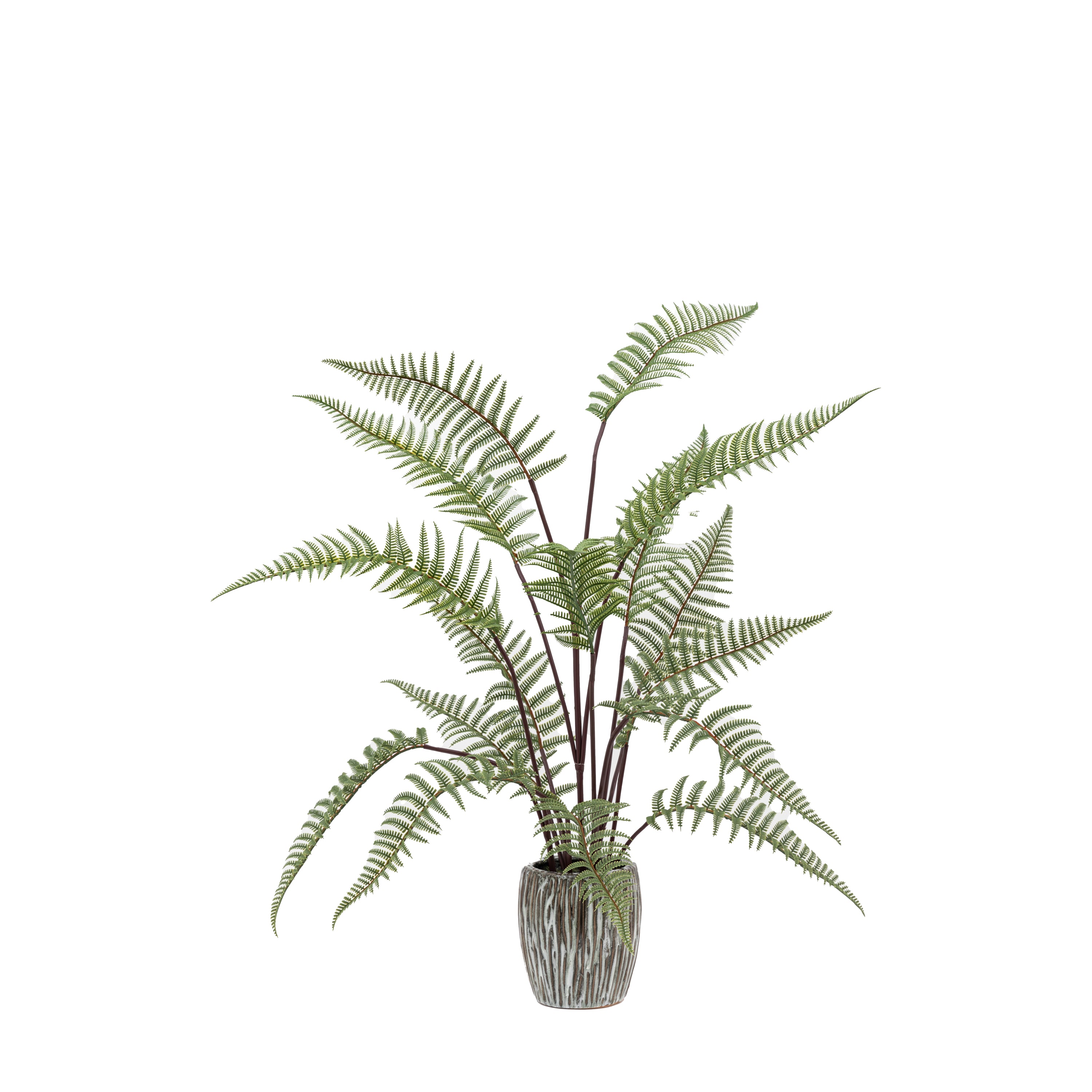 Tall Fern in Textured Grey Ceramic Pot