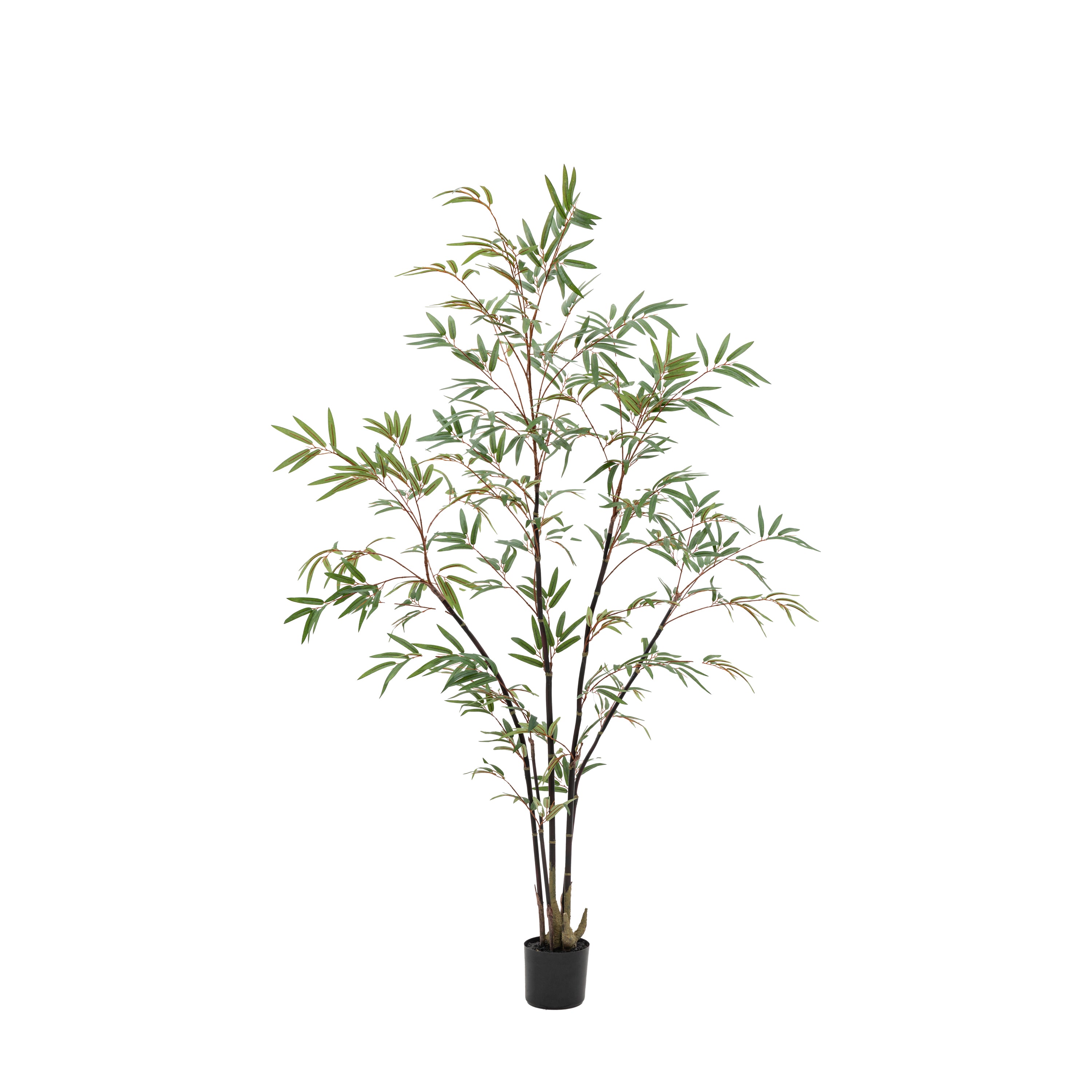 Potted Bamboo Tree 5ft