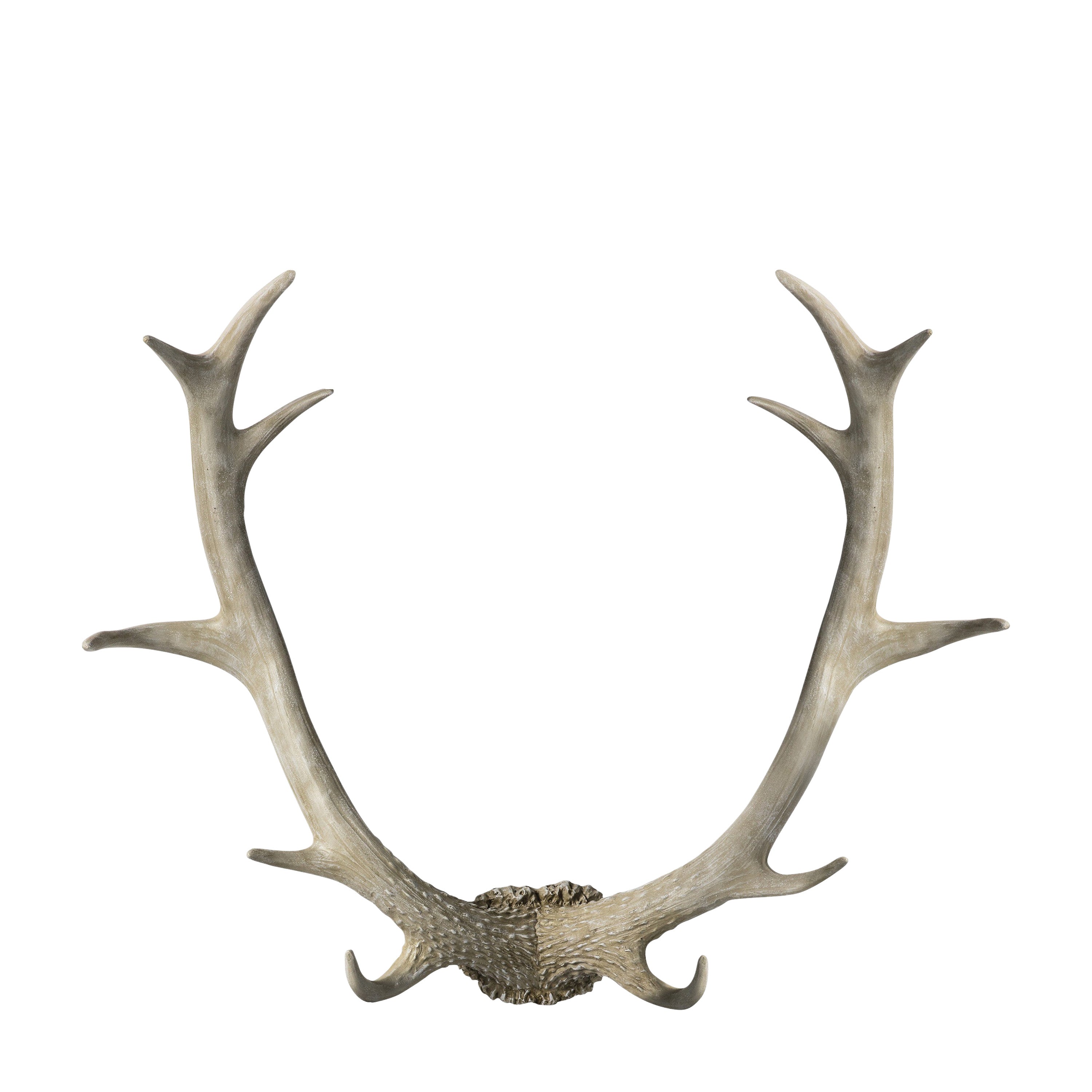 Bjorn Antler Wall Art White - Polyresin | Migo Interiors