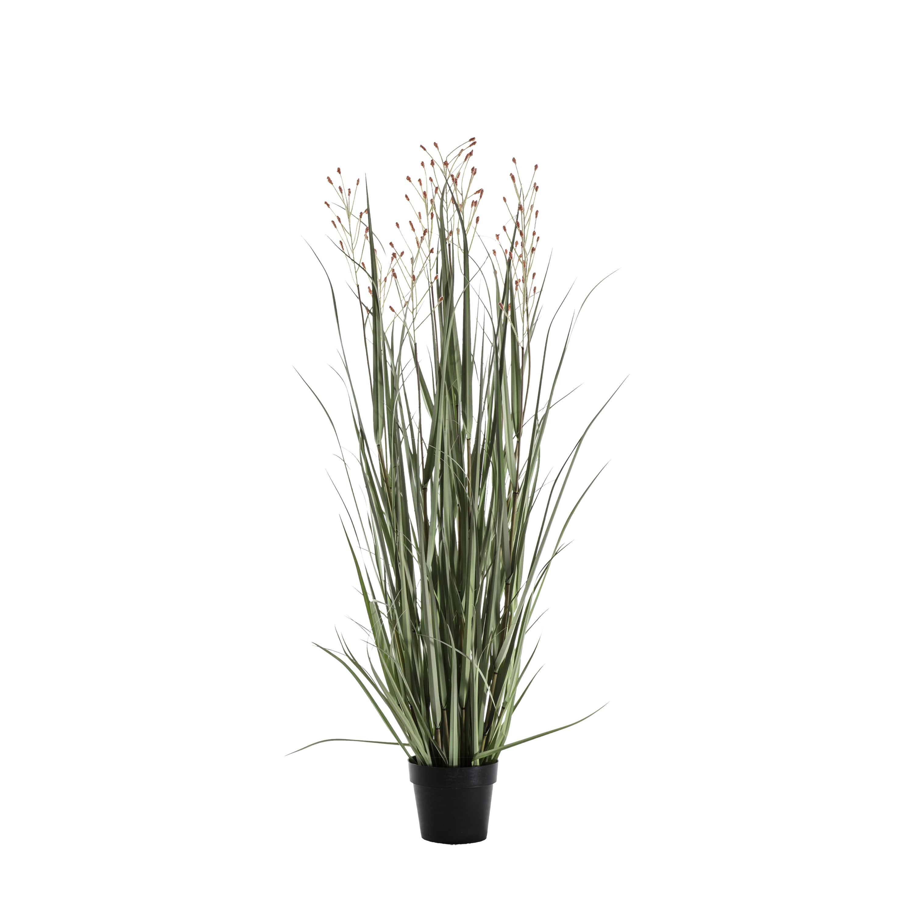 Potted Grass w/7 Heads Green/Russet - PVC / PE / Cement / Foam / Iron | Migo Interiors