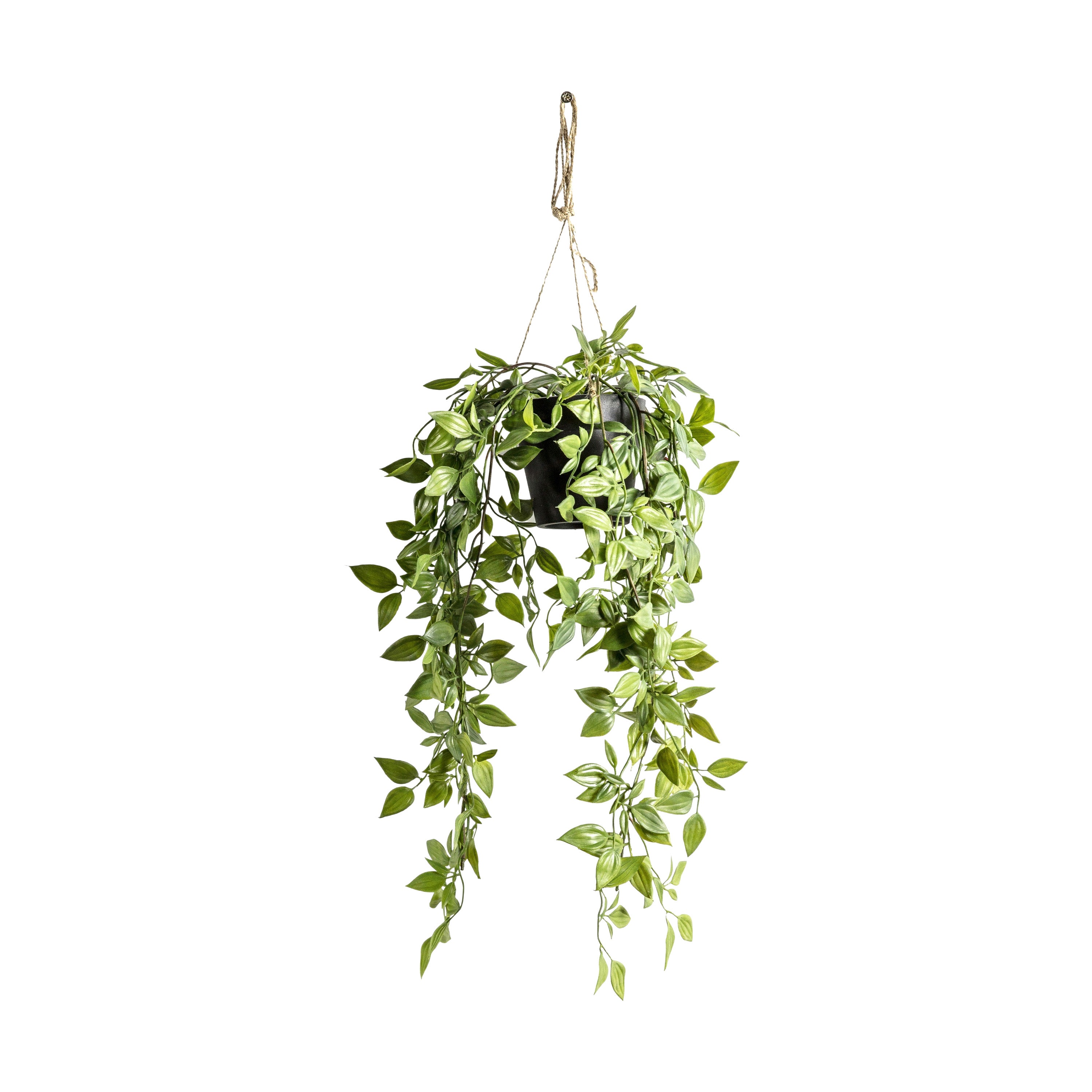 Hanging Scindapsus Small - PE / Iron | Migo Interiors