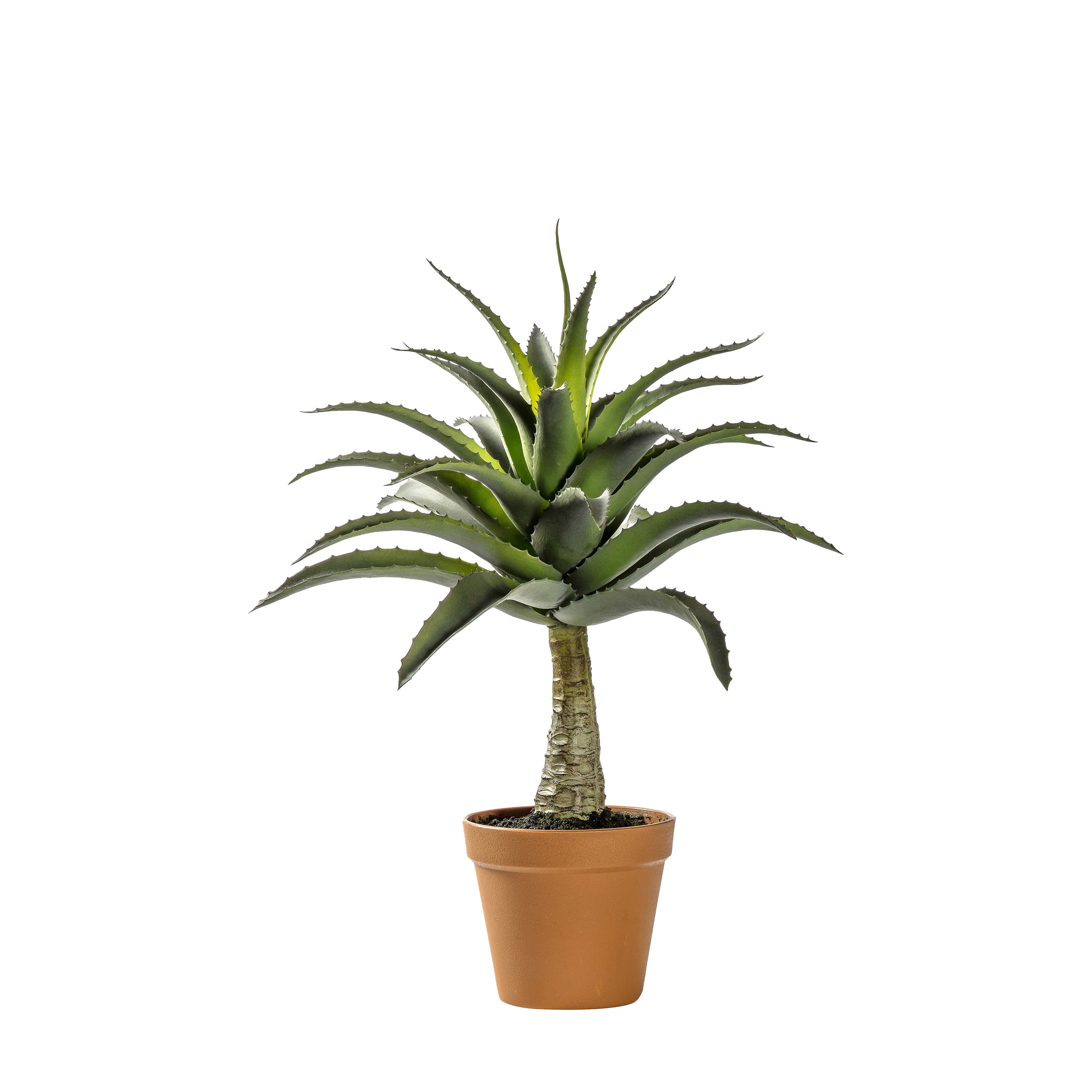 Potted Agave - PE / Iron | Migo Interiors