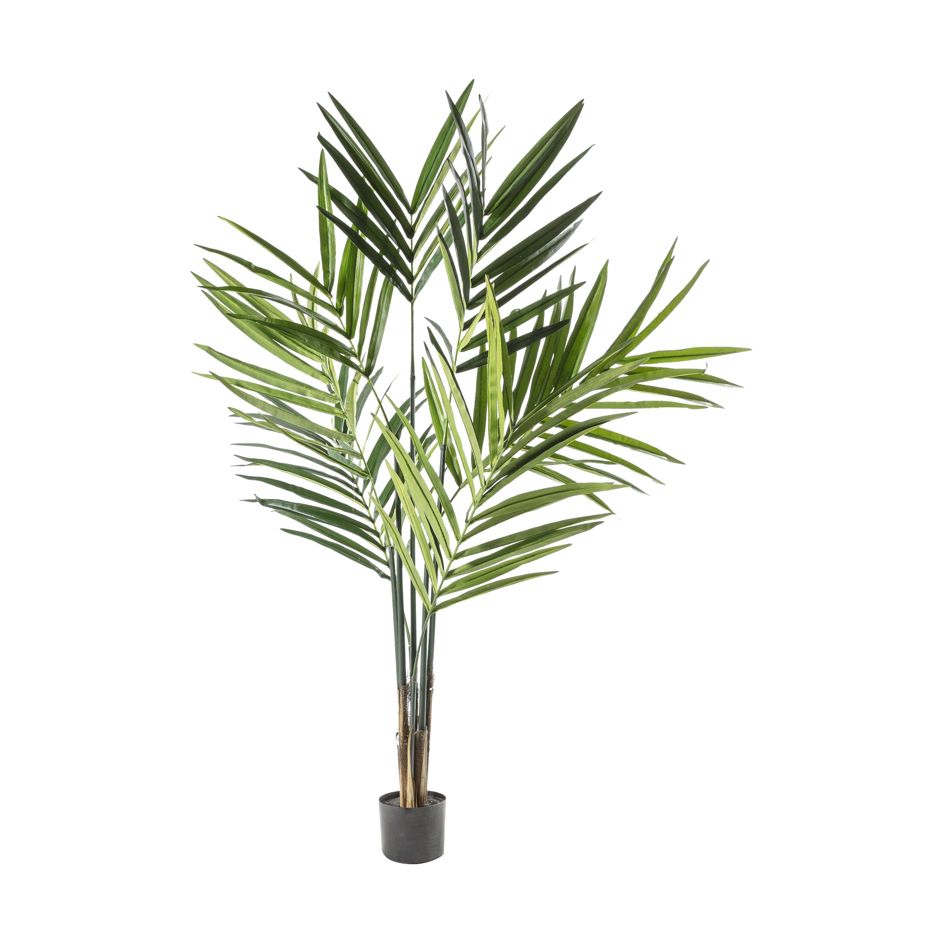 Kentia Palm Tree - Polyester / PE / Iron / PVC | Migo Interiors