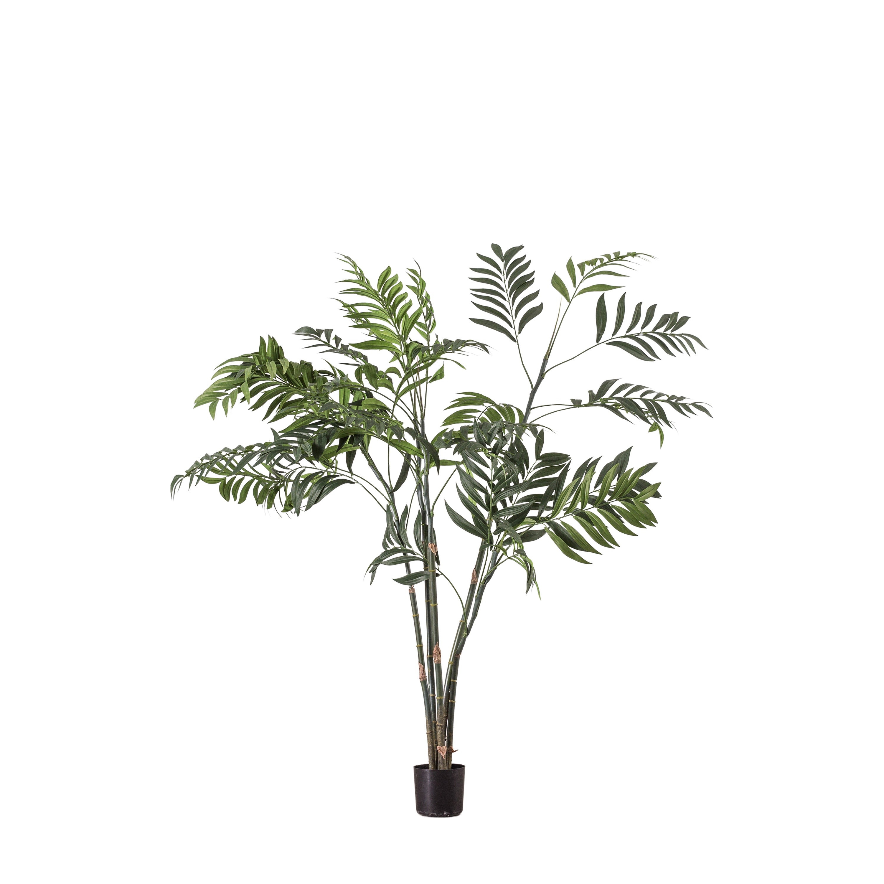 Areca Palm Tree Small - Polyester / PE / Iron / PVC | Migo Interiors