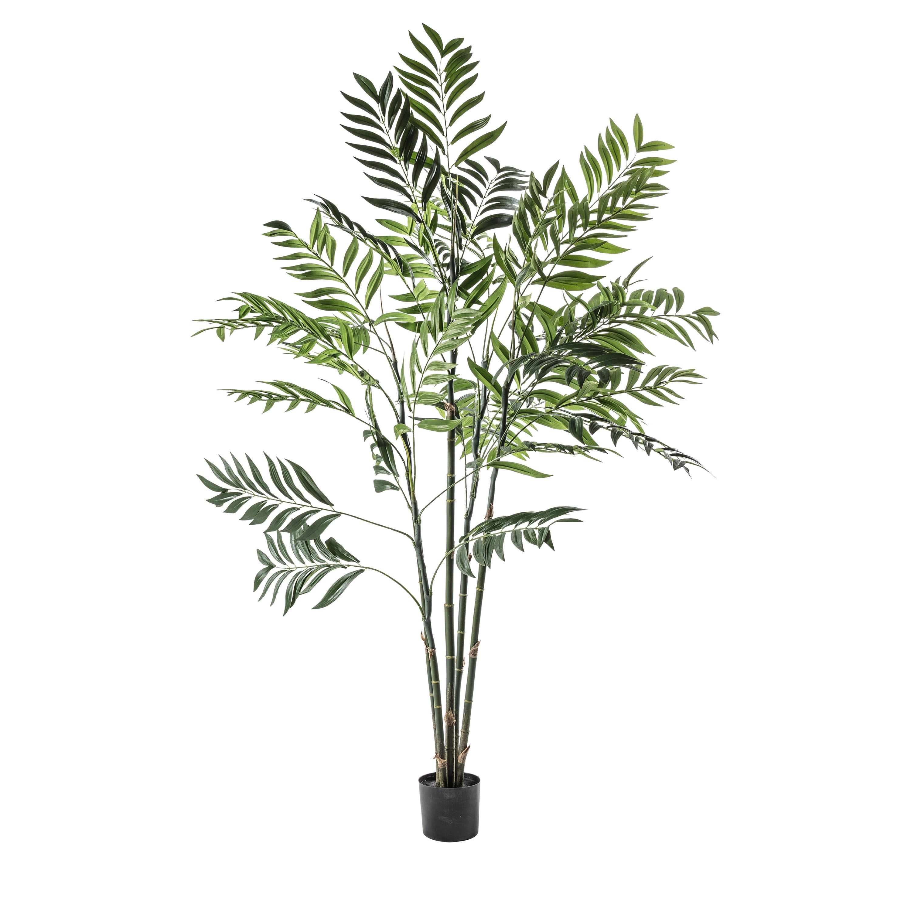 Areca Palm Tree Large - Polyester / PE / Iron / PVC | Migo Interiors