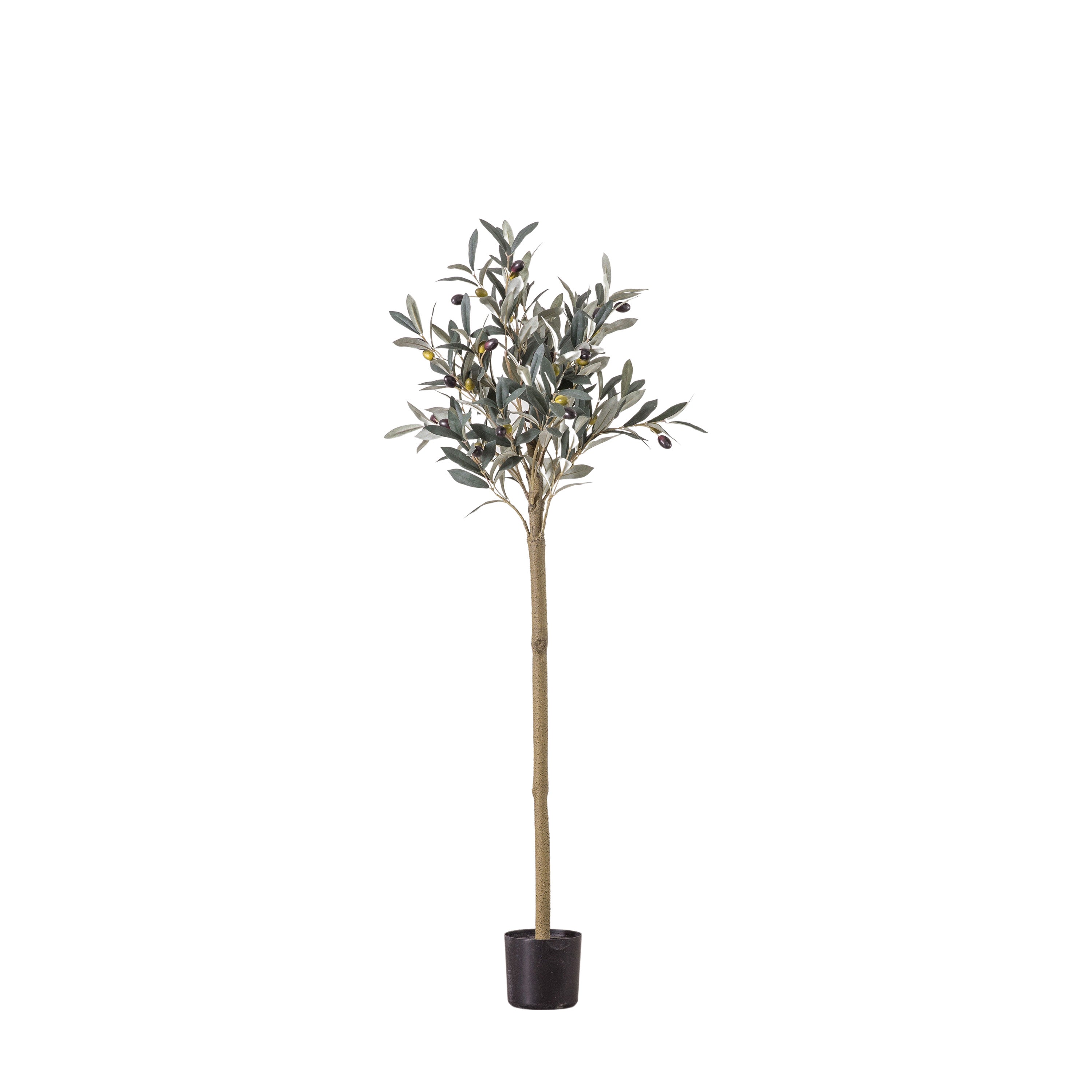 Olive Tree Medium - Polyester / PE / Iron / PVC | Migo Interiors