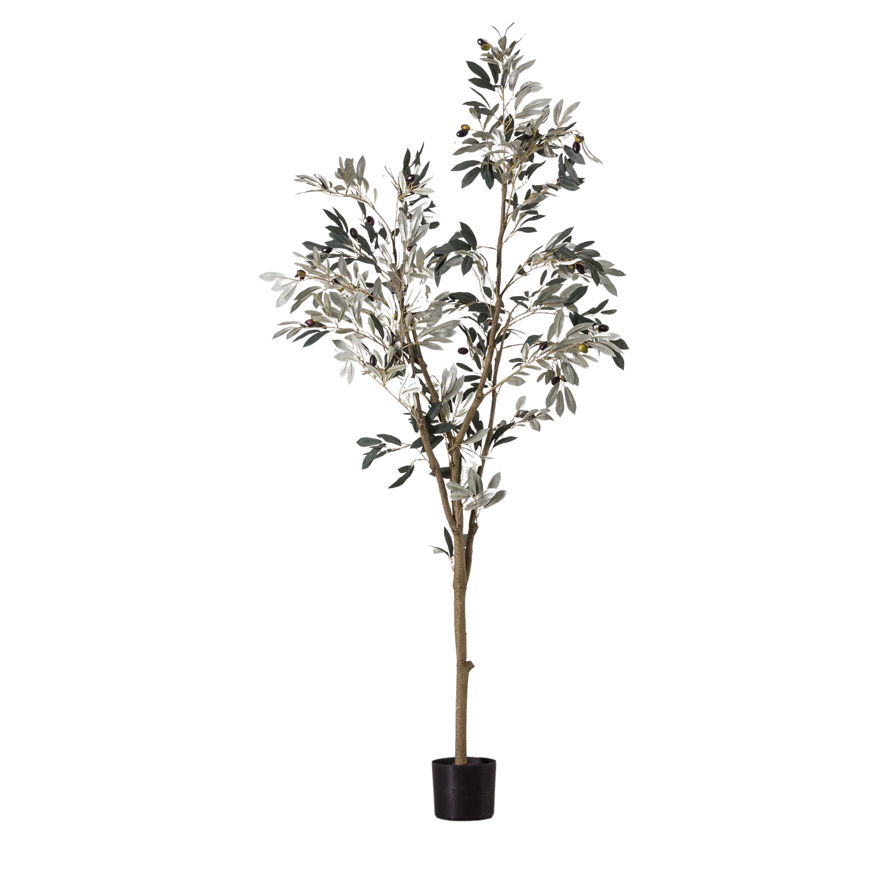 Olive Tree Large - Polyester / PE / Iron / PVC | Migo Interiors