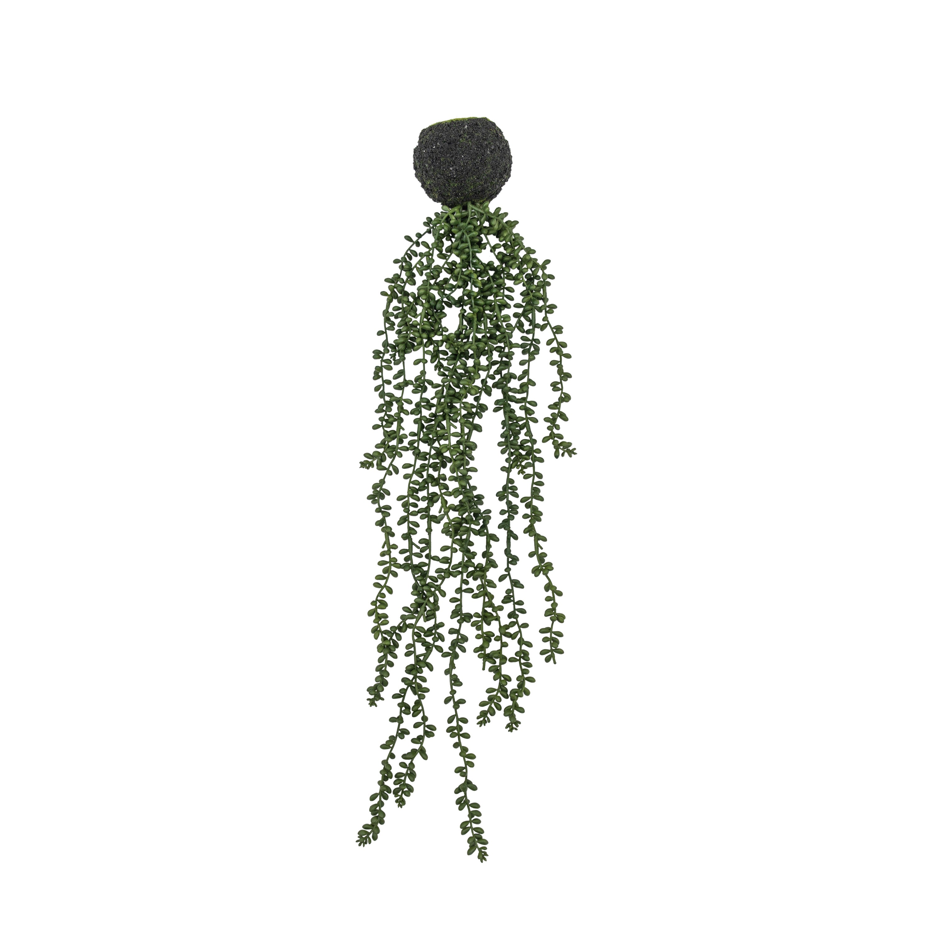 String of Pearls in Soil L710mm - PE / PVC | Migo Interiors