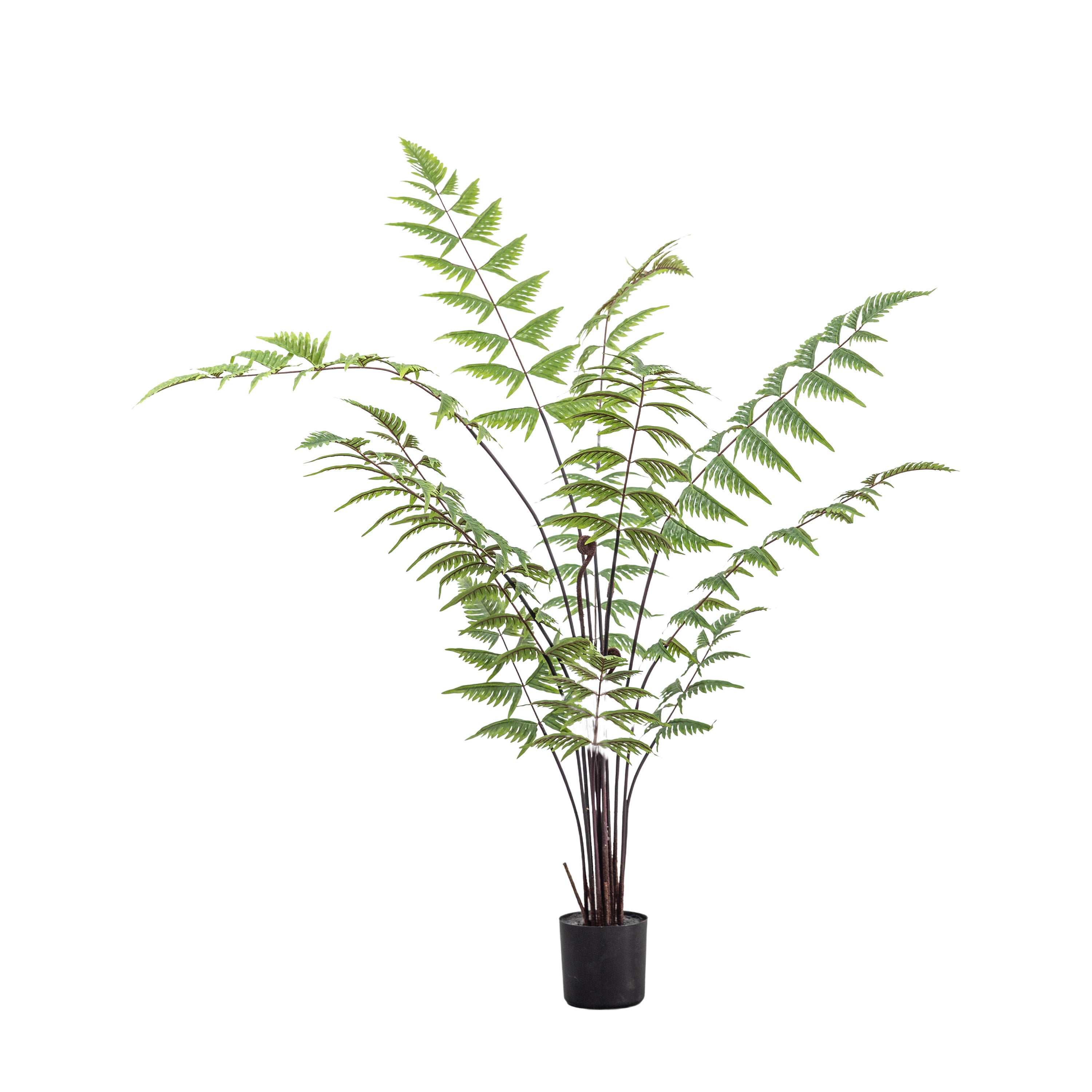 Butterfly Fern H1200mm - Polyester / PE / Iron / Wire / PVC | Migo Interiors