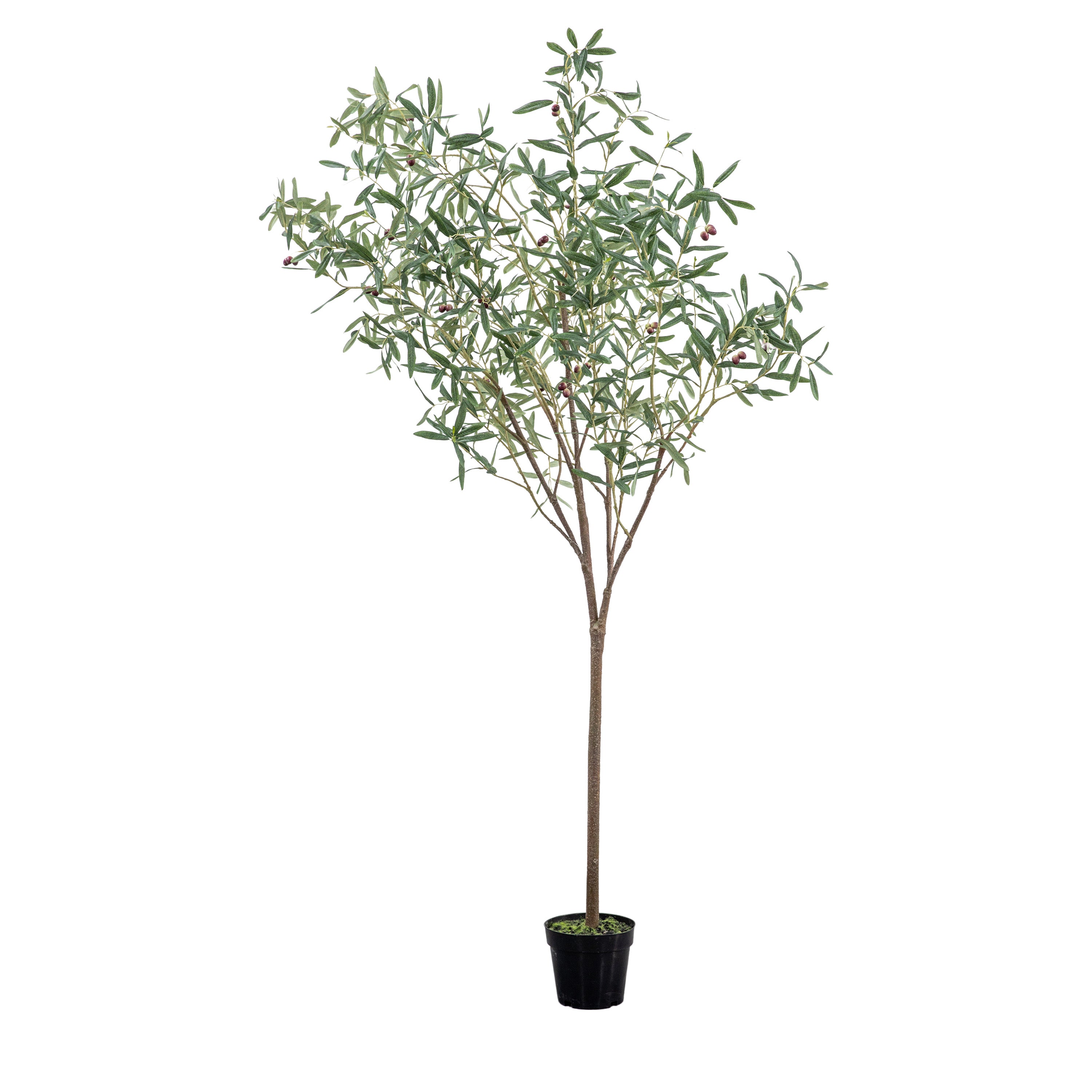 Olive Tree Large Green H2020mm - Polyester / PE / PVC Polyfoam | Migo Interiors
