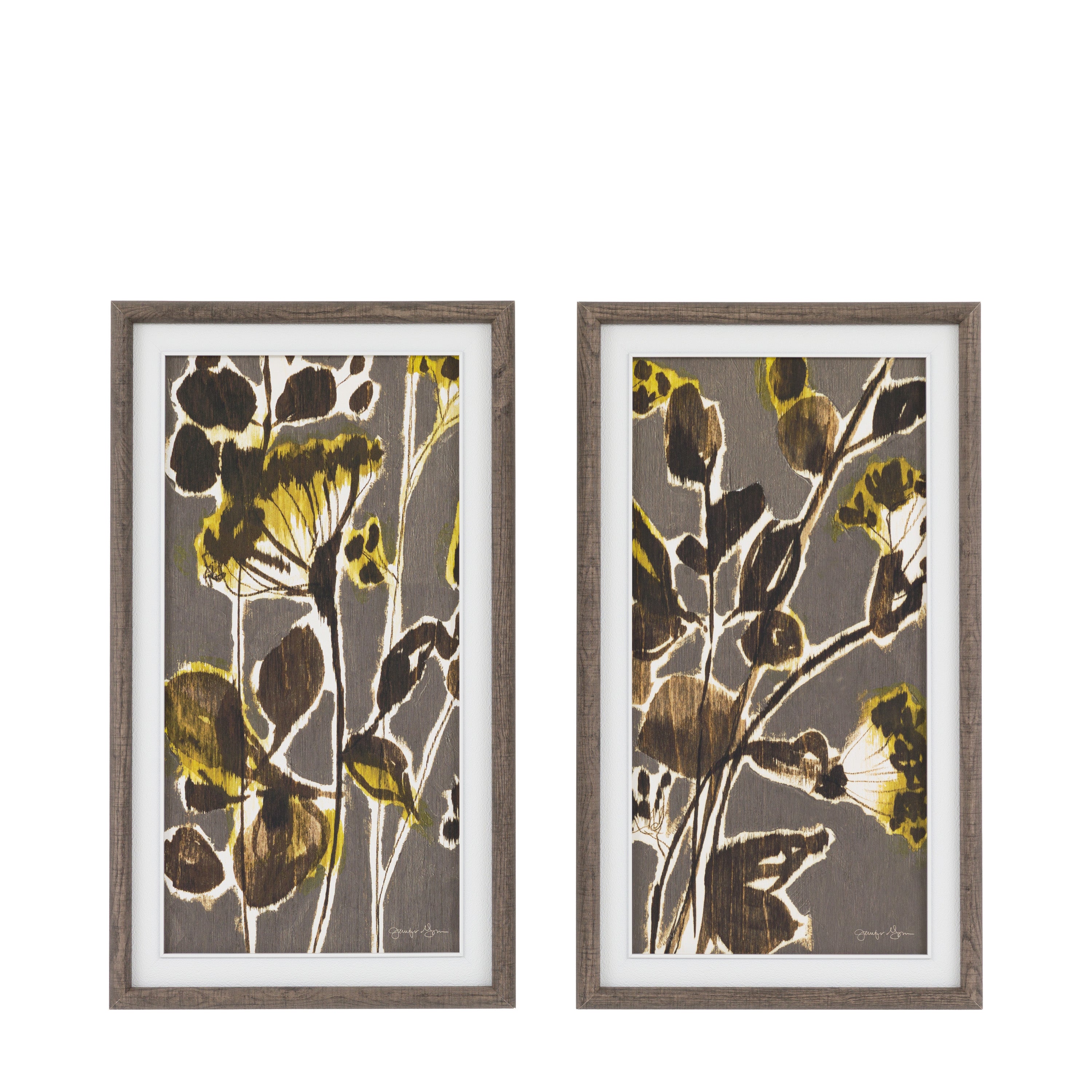 Revival Framed Canvas Set of 2