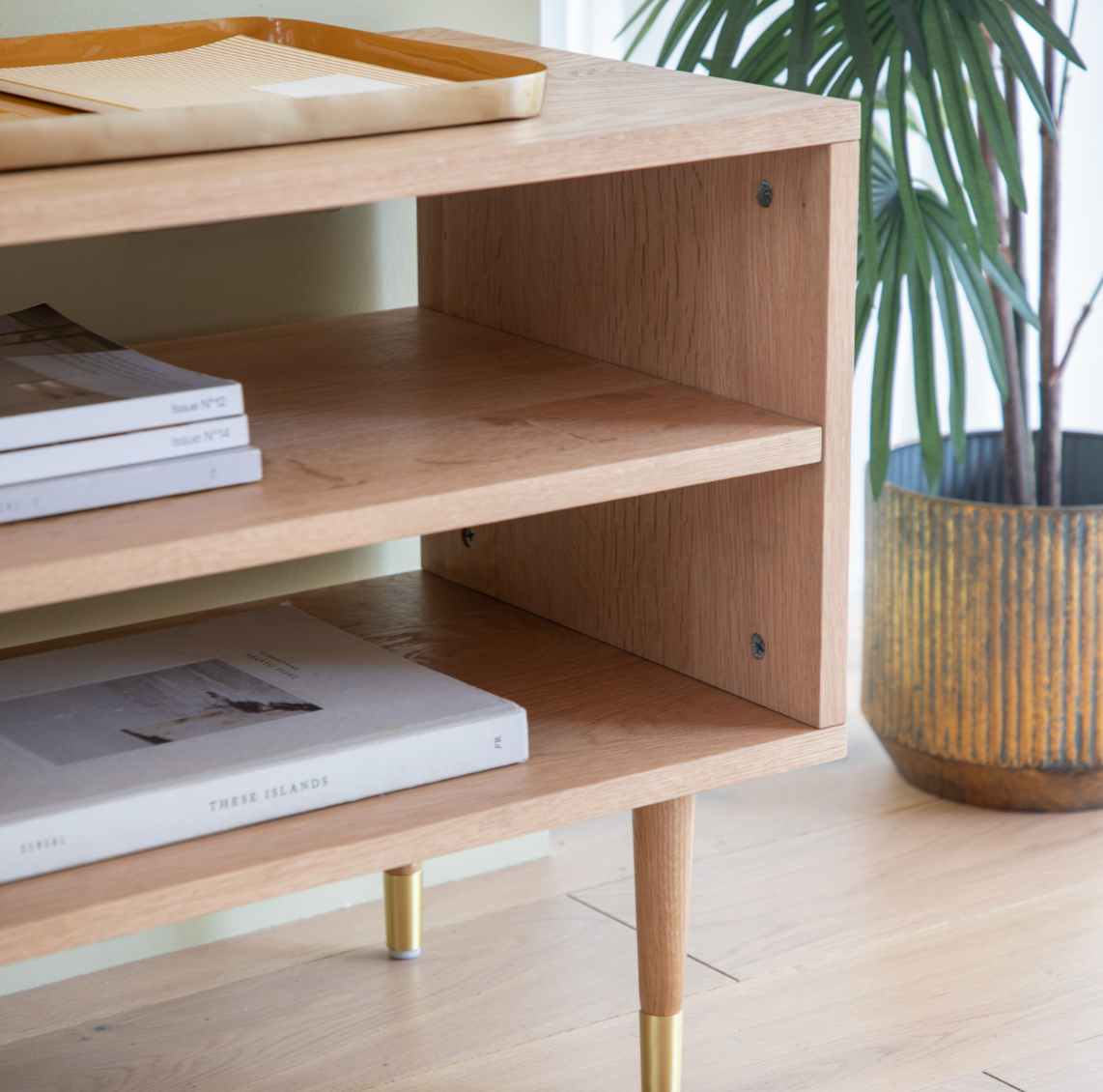 Zelinda Media Unit