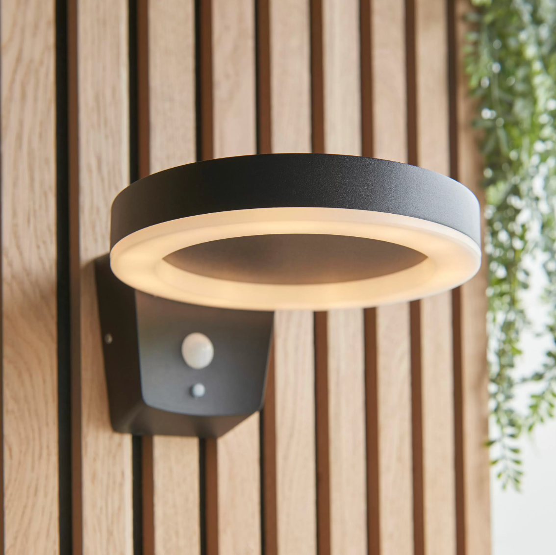 Ondina Wall Light