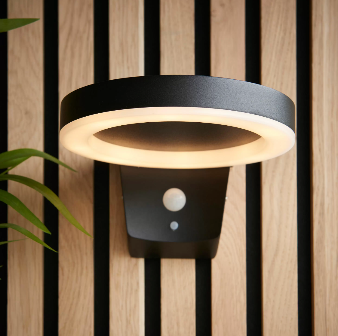 Ondina Wall Light