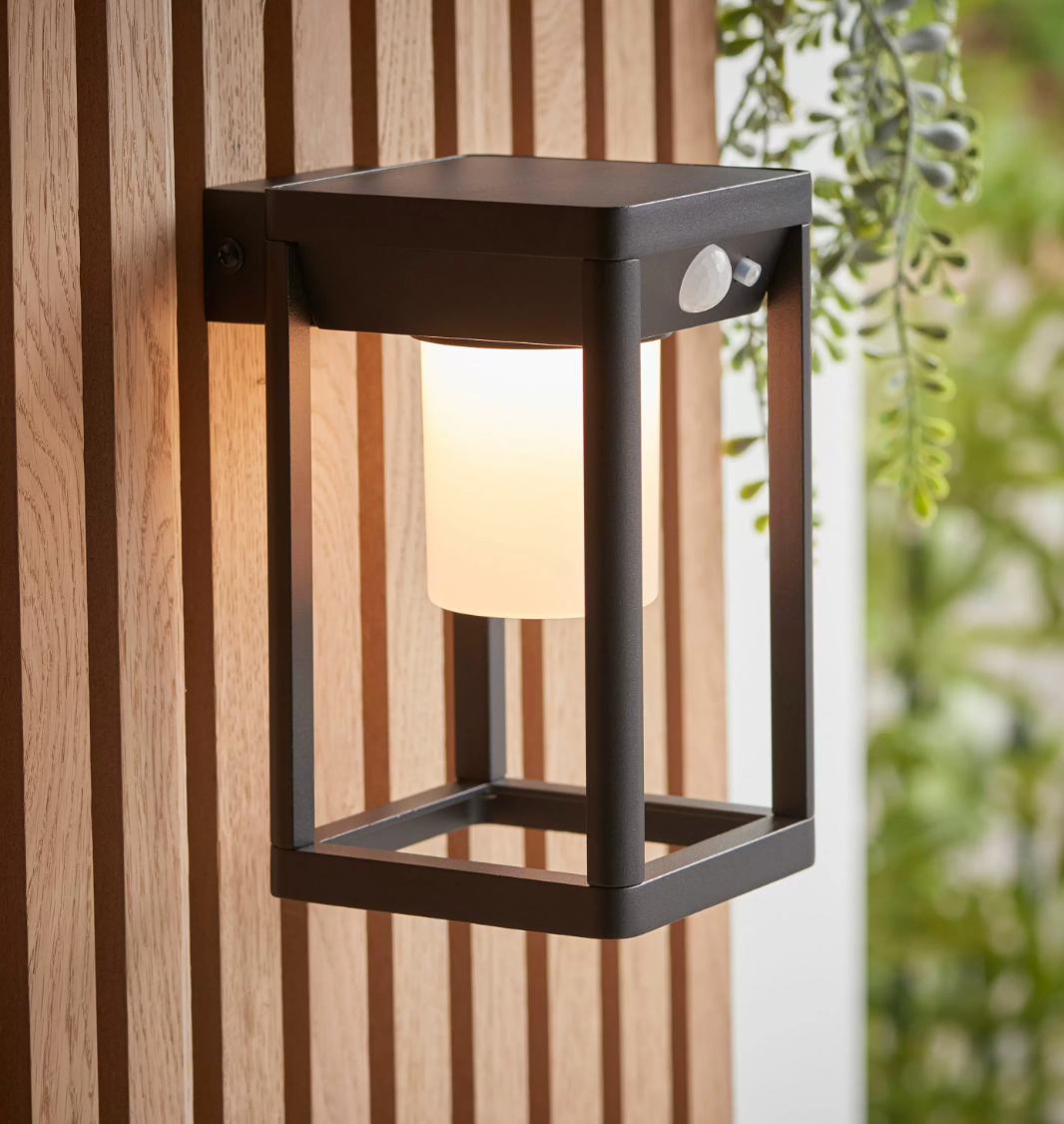 Dorotea Wall Light