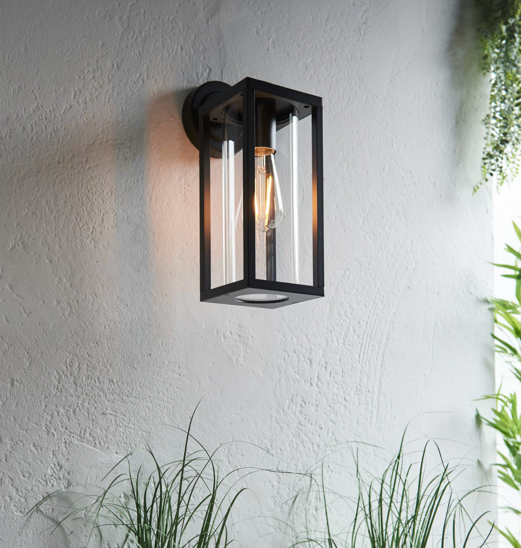 Feliciana Wall Light