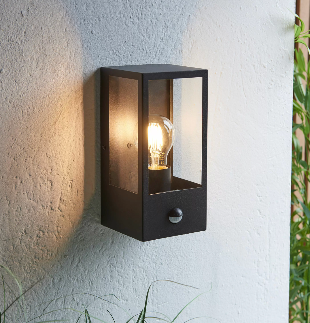 Damiana Wall Light