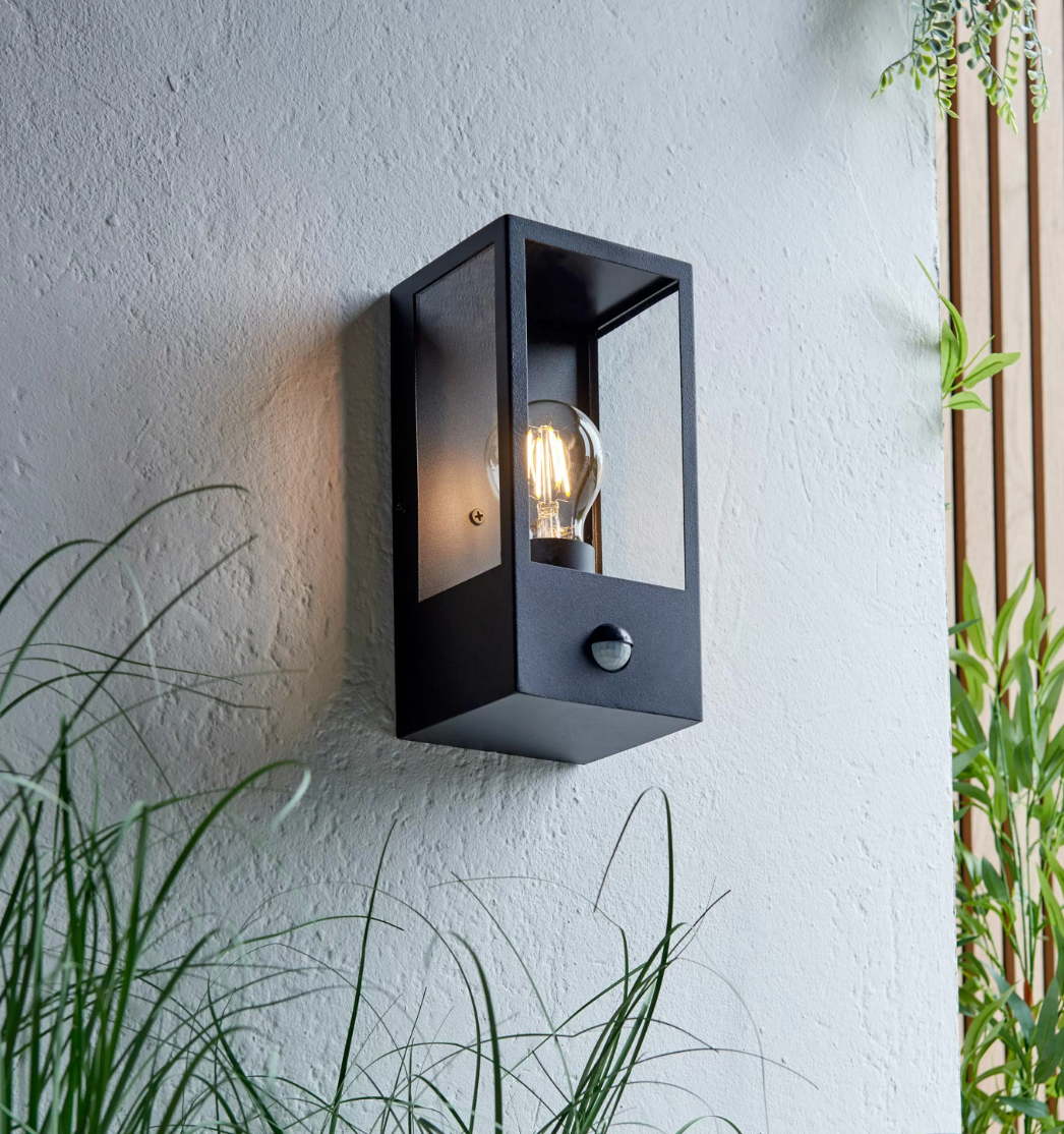 Damiana Wall Light