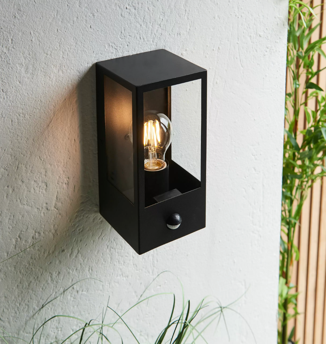 Damiana Wall Light