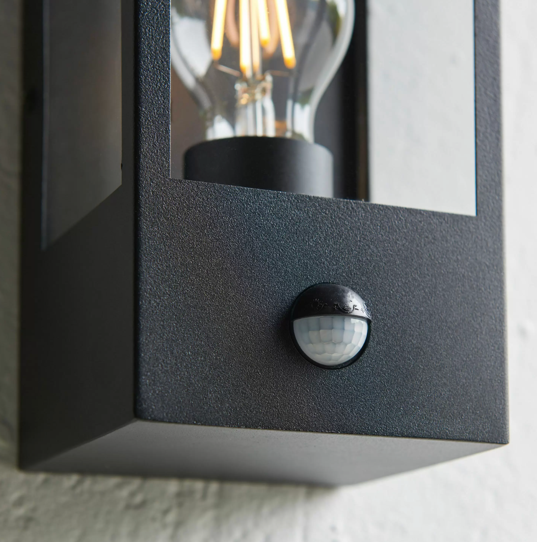 Damiana Wall Light