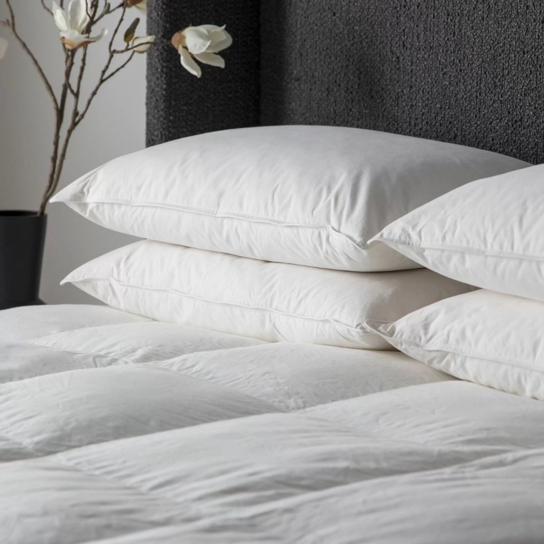 Amata Microfibre Pillow