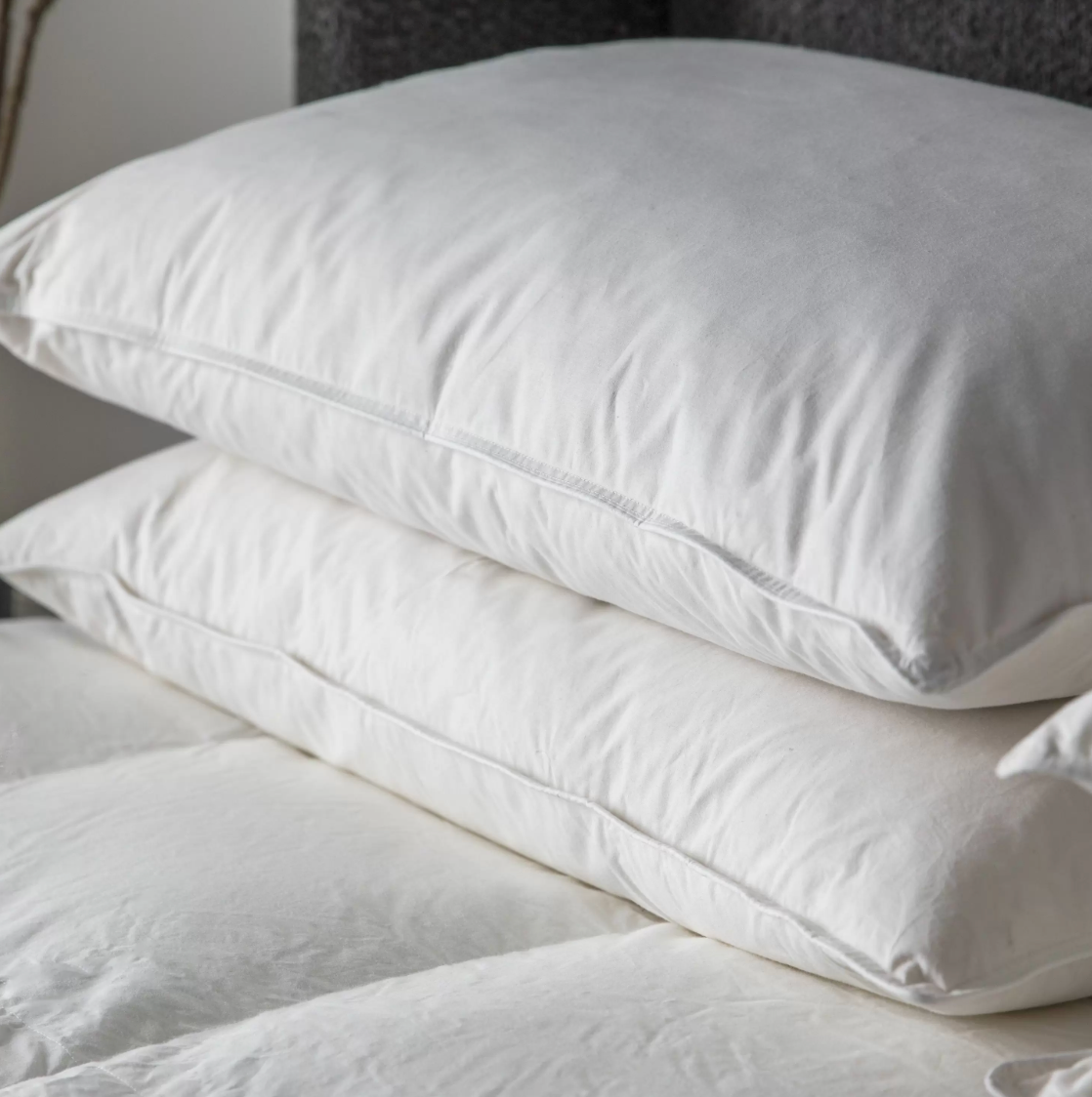 Amata Microfibre Pillow